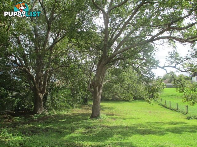 249 Victoria Street TAREE NSW 2430