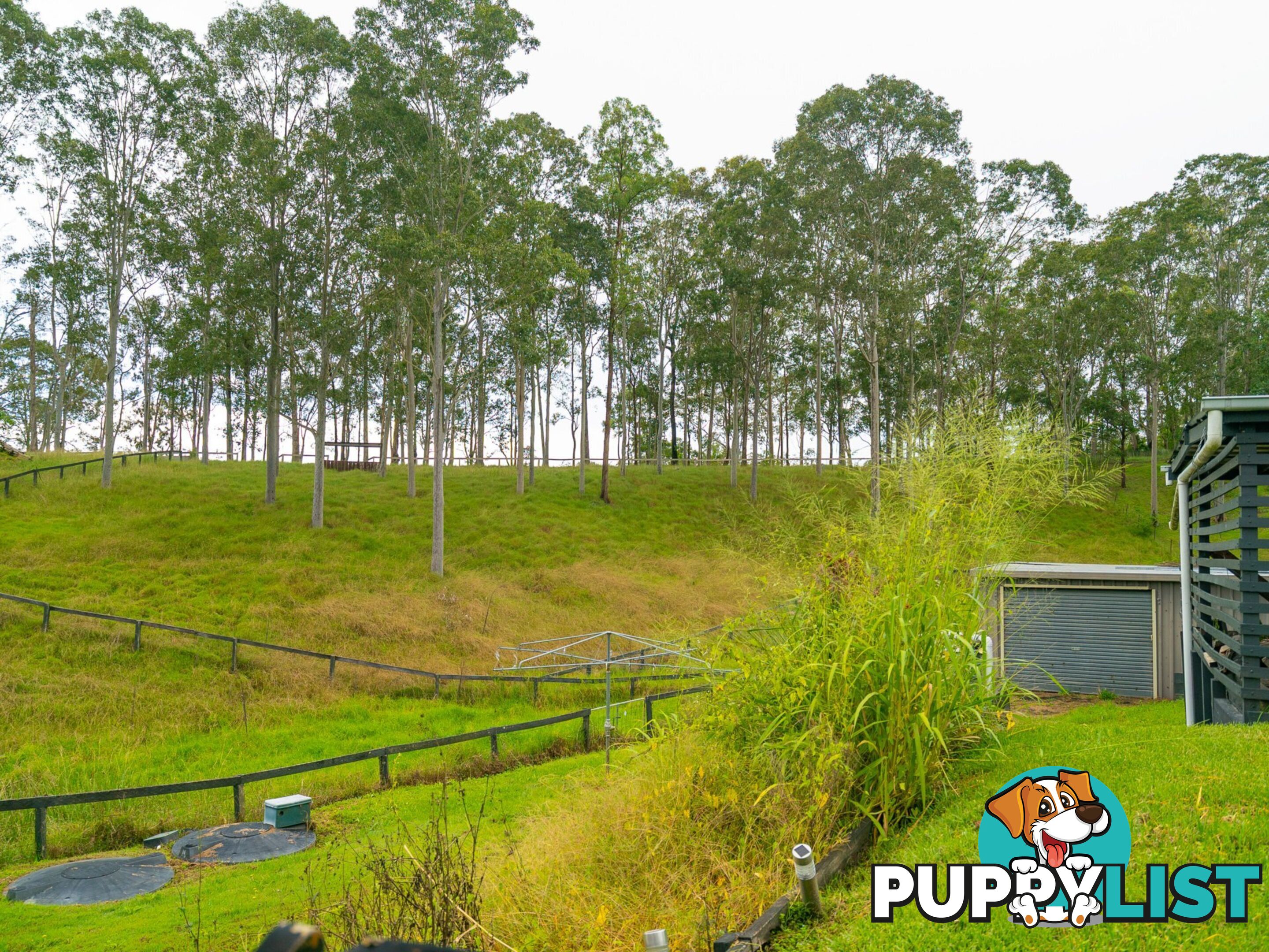 3 Phillip Close WINGHAM NSW 2429