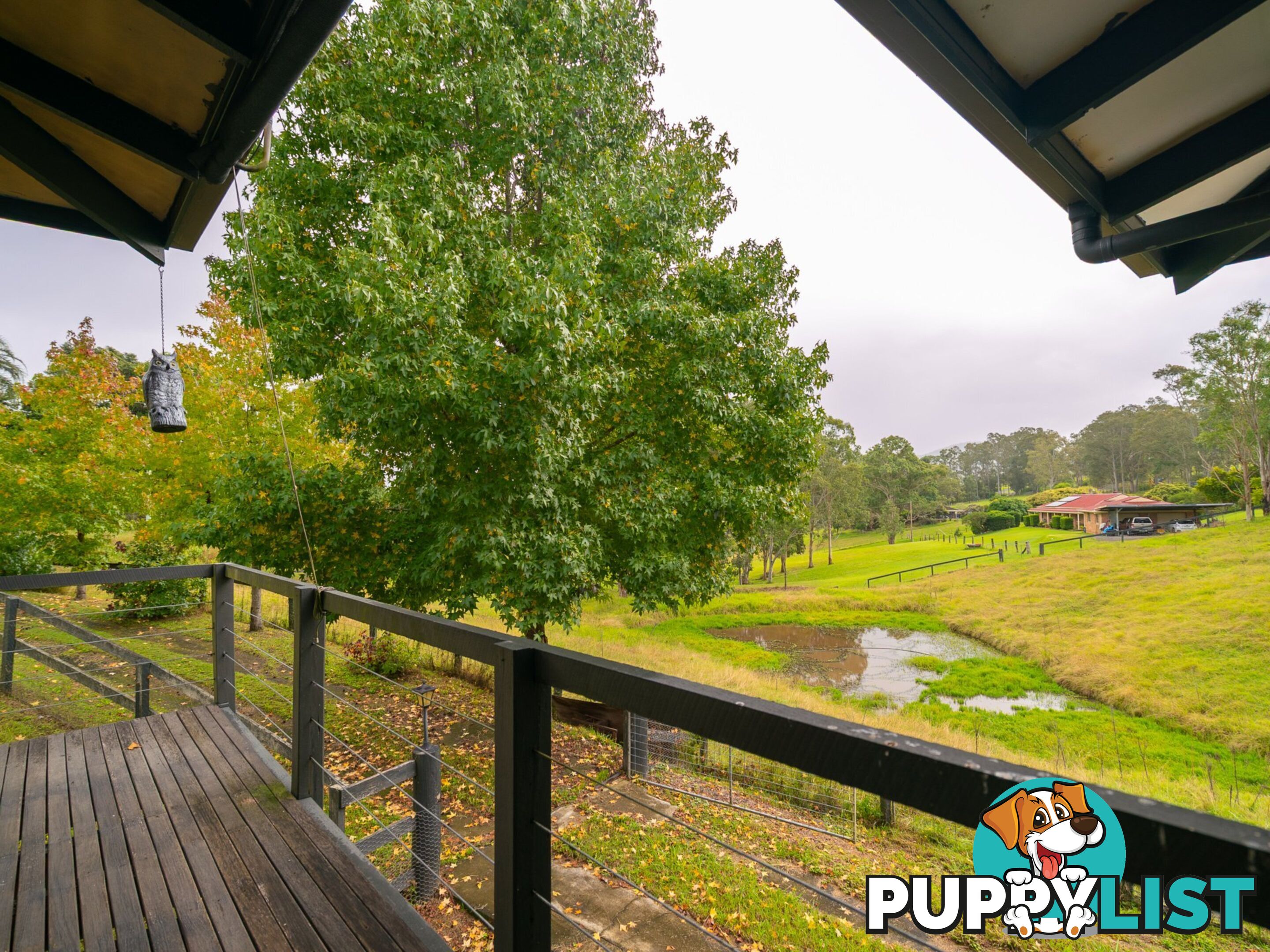 3 Phillip Close WINGHAM NSW 2429