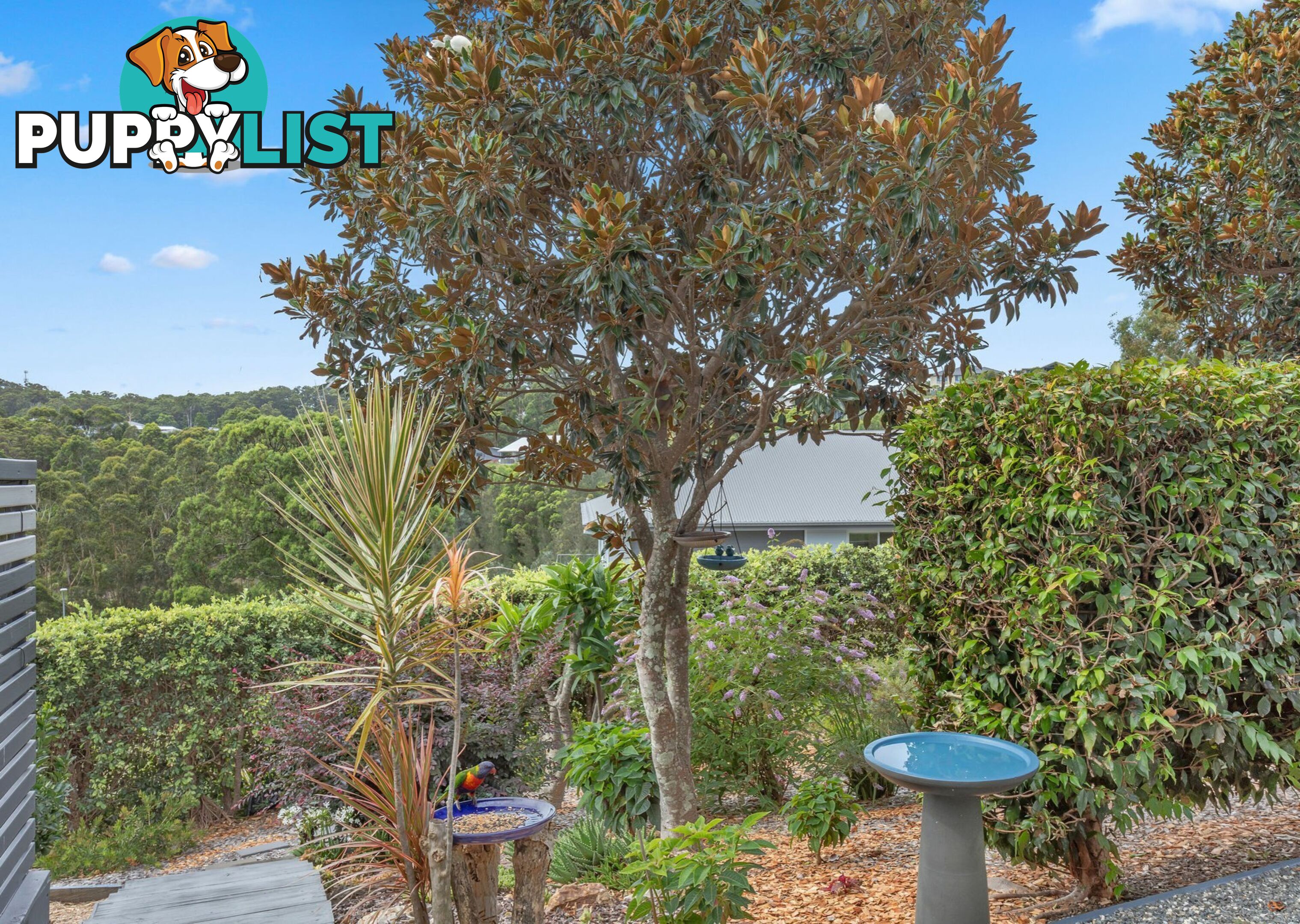 17 Coastal View Drive TALLWOODS VILLAGE NSW 2430