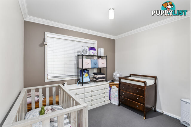 11 Paluma Street MARSDEN QLD 4132