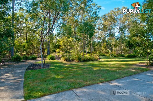 6 Bladensburg Drive WATERFORD QLD 4133