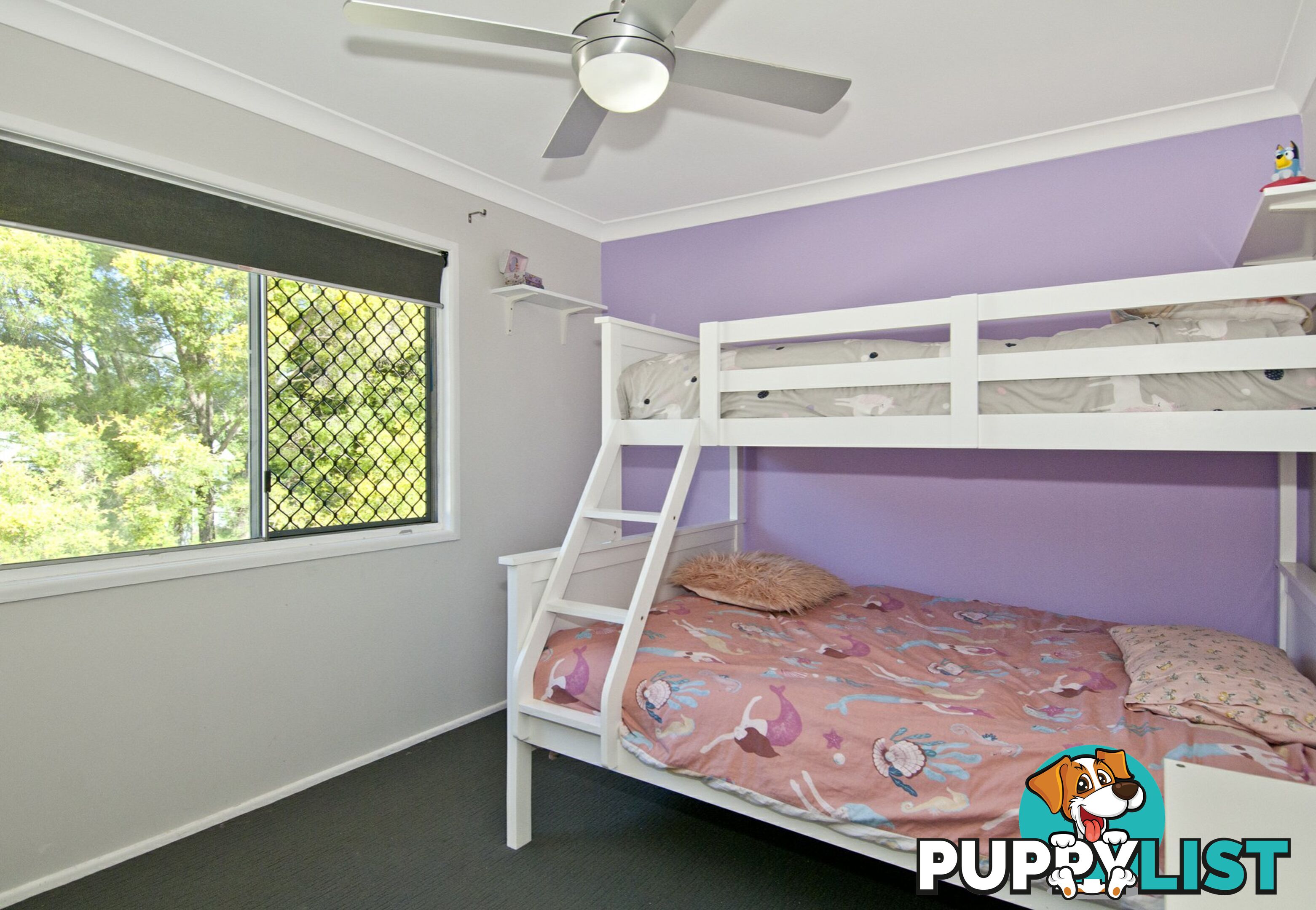 28 Hinchinbrook Avenue BETHANIA QLD 4205