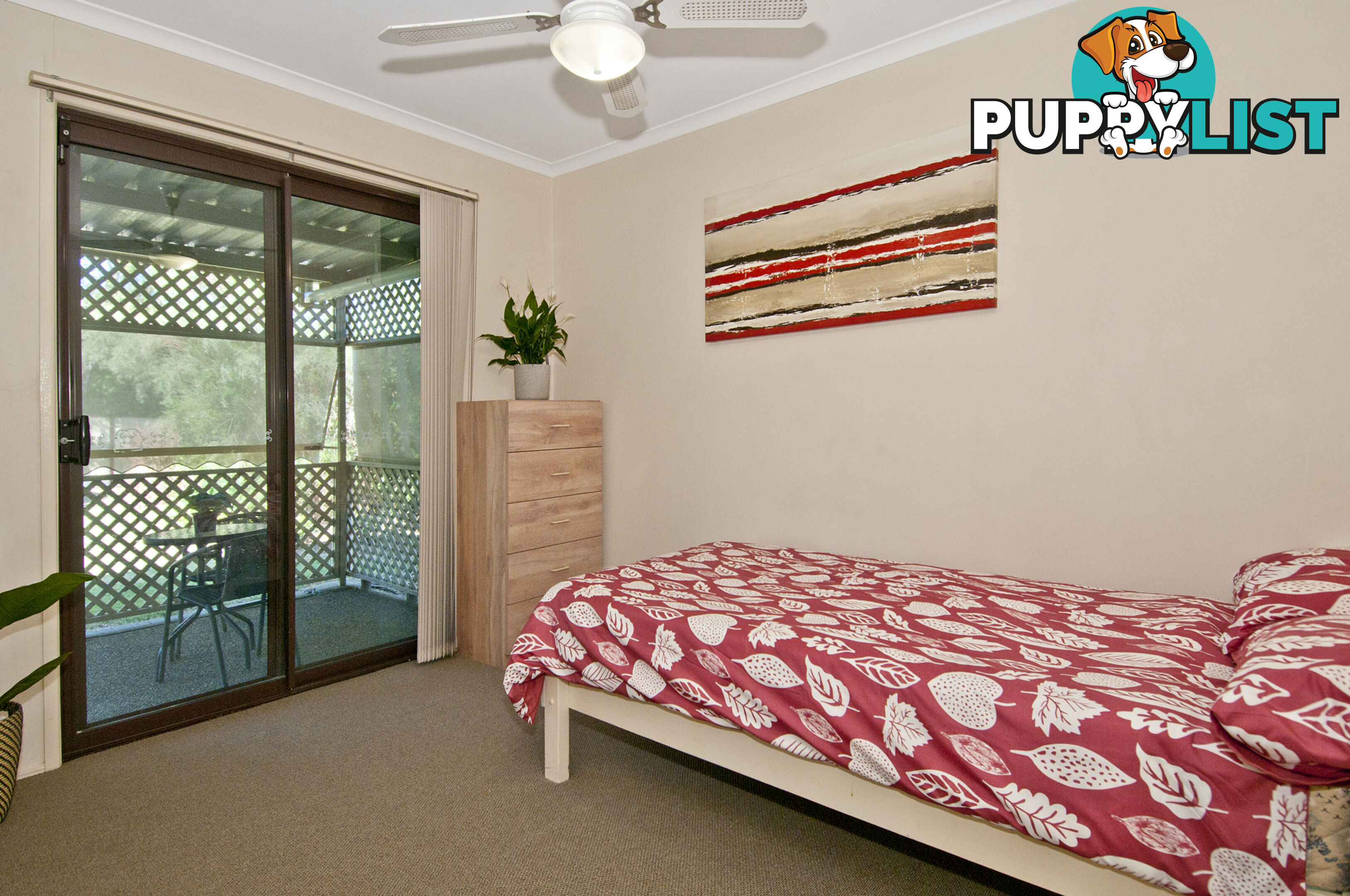 19 Turquoise Street BETHANIA QLD 4205