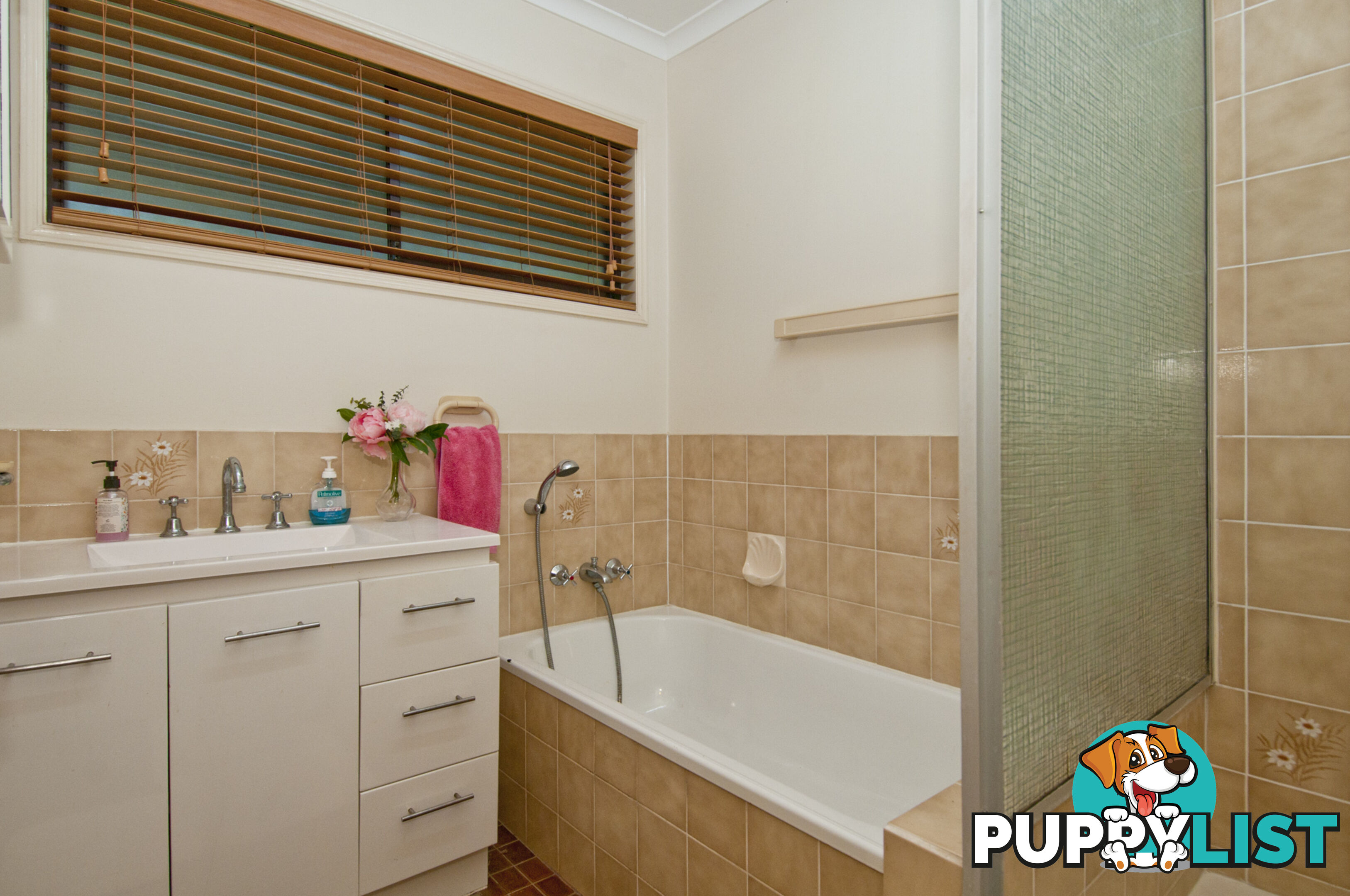 19 Turquoise Street BETHANIA QLD 4205