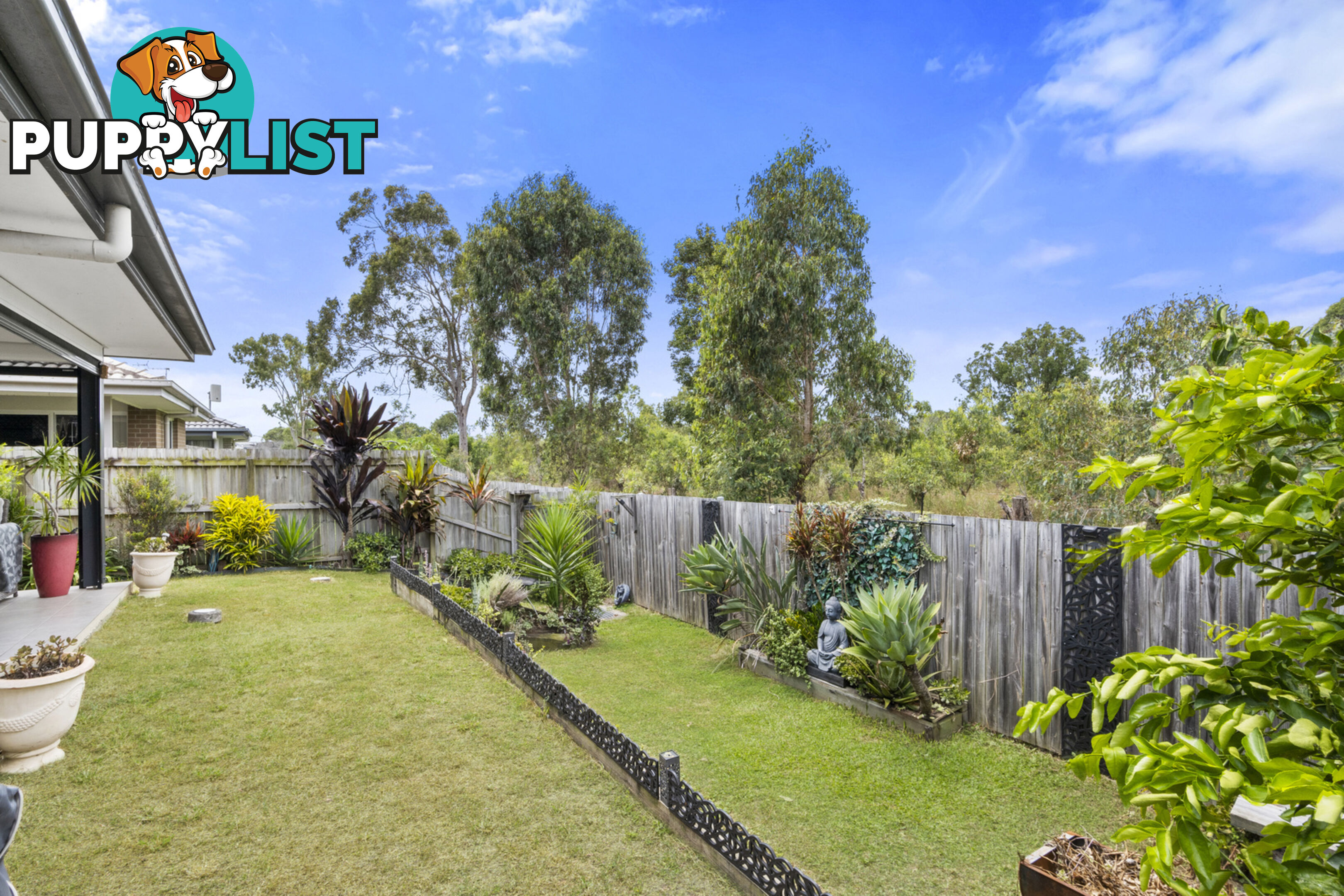 6 Molly Court EAGLEBY QLD 4207