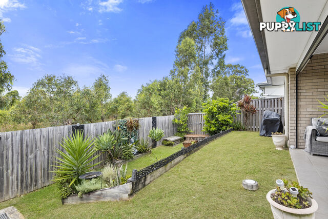 6 Molly Court EAGLEBY QLD 4207