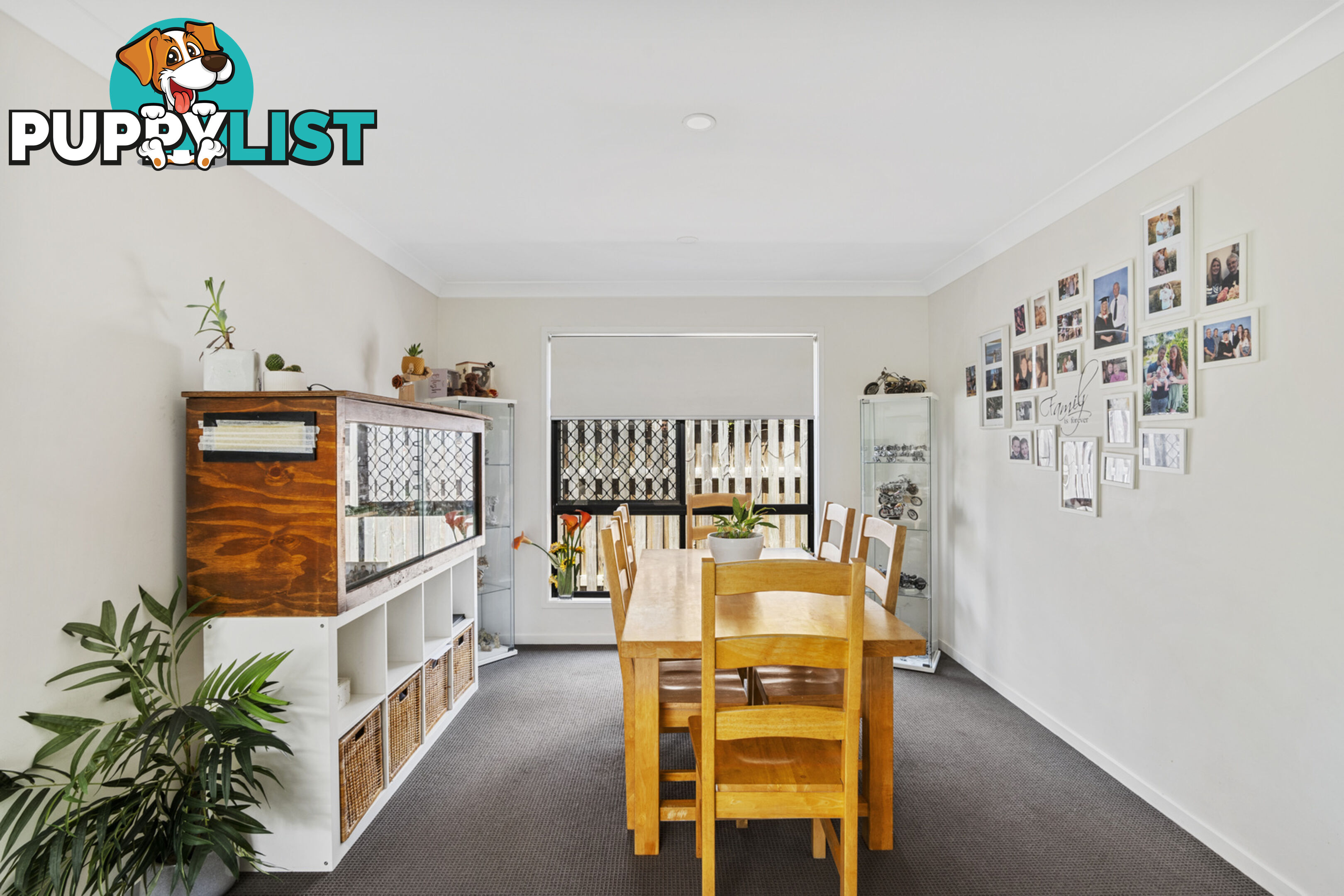 6 Molly Court EAGLEBY QLD 4207