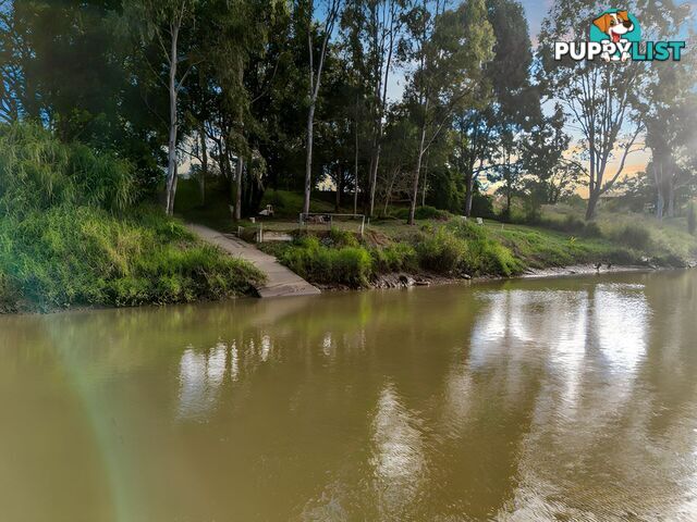58 Katrina Crescent WATERFORD WEST QLD 4133