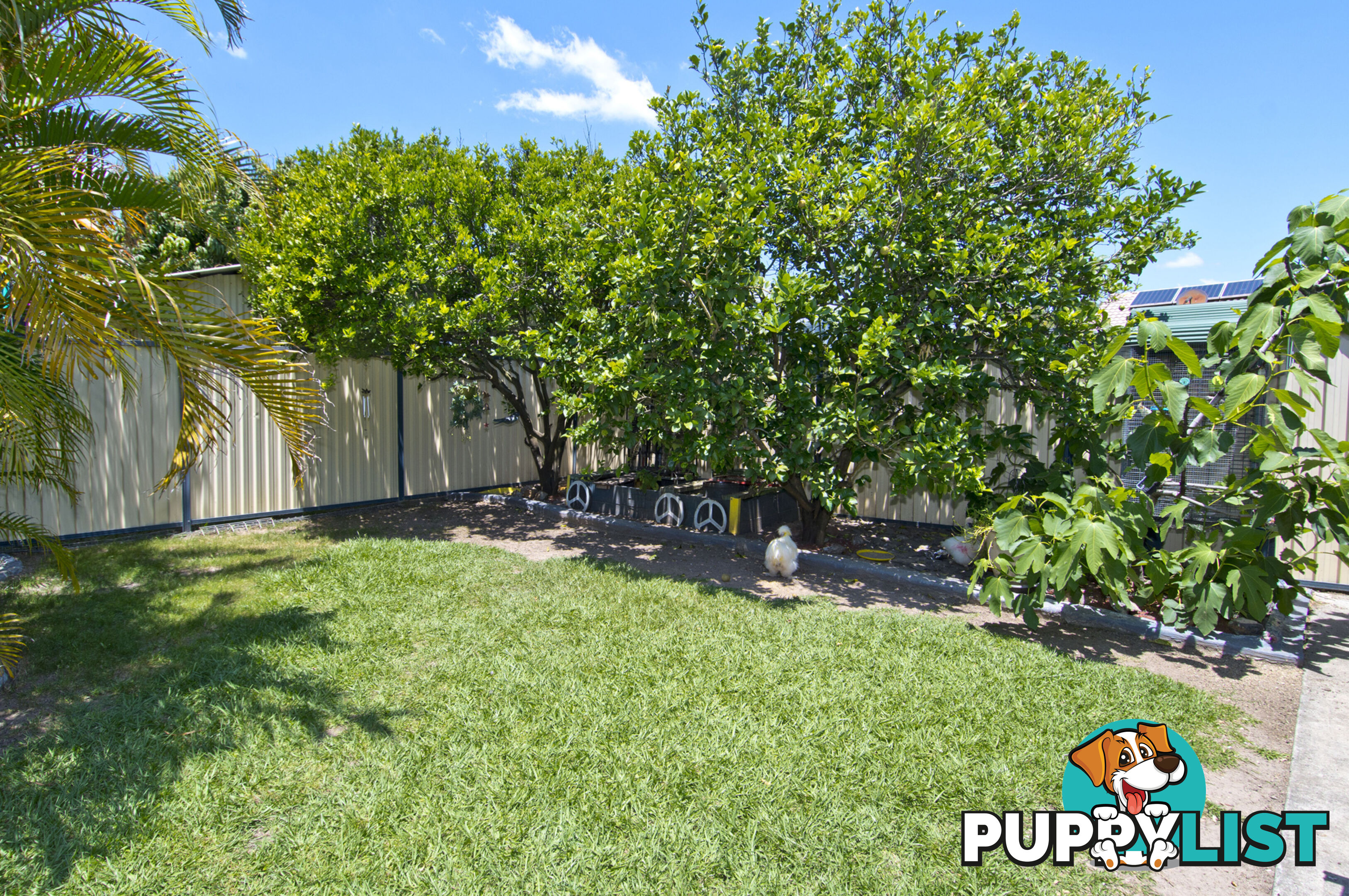 24 Kao Street MARSDEN QLD 4132