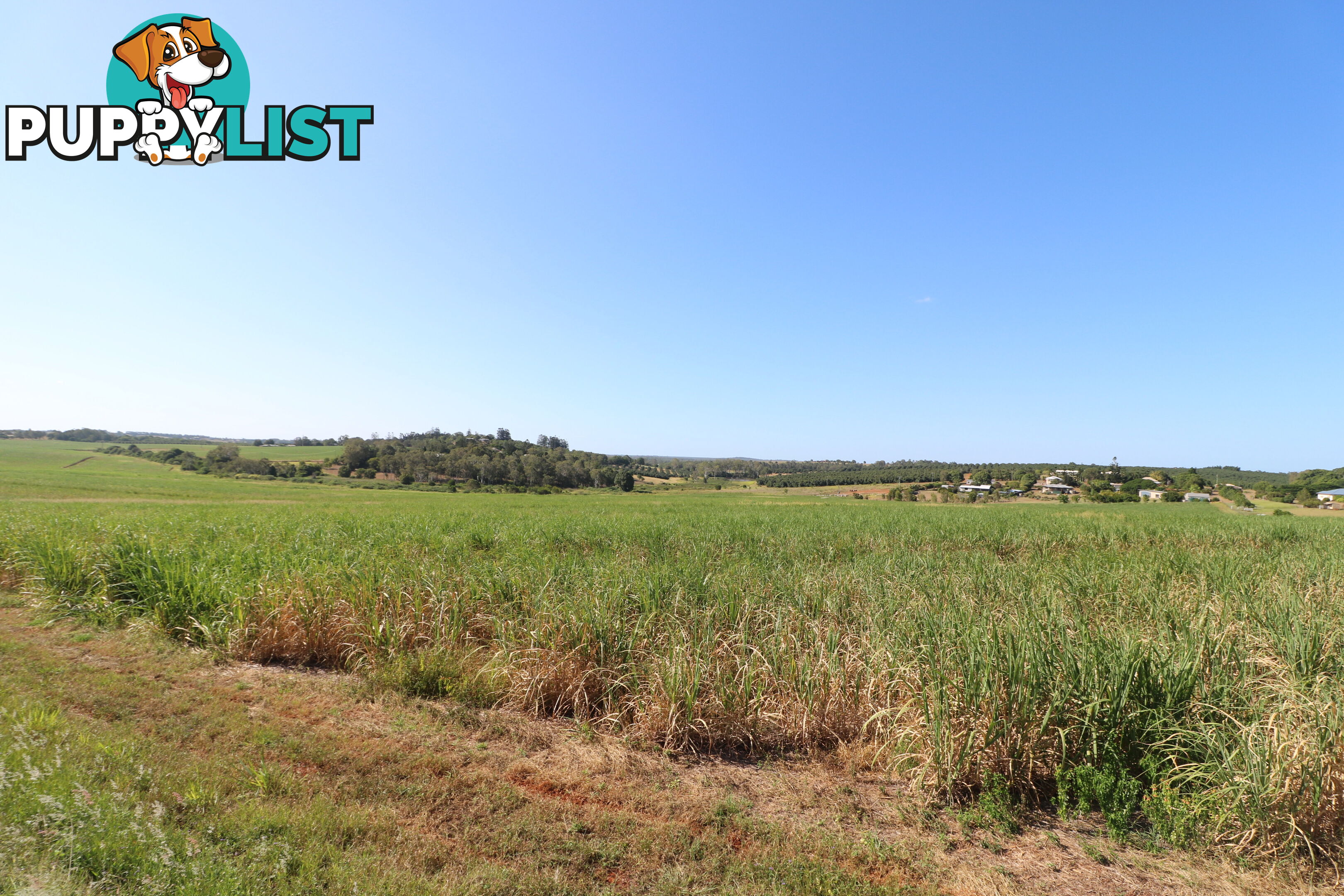 115 Lucketts Rd Doolbi QLD 4660