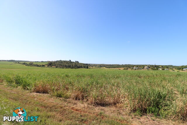 115 Lucketts Rd Doolbi QLD 4660