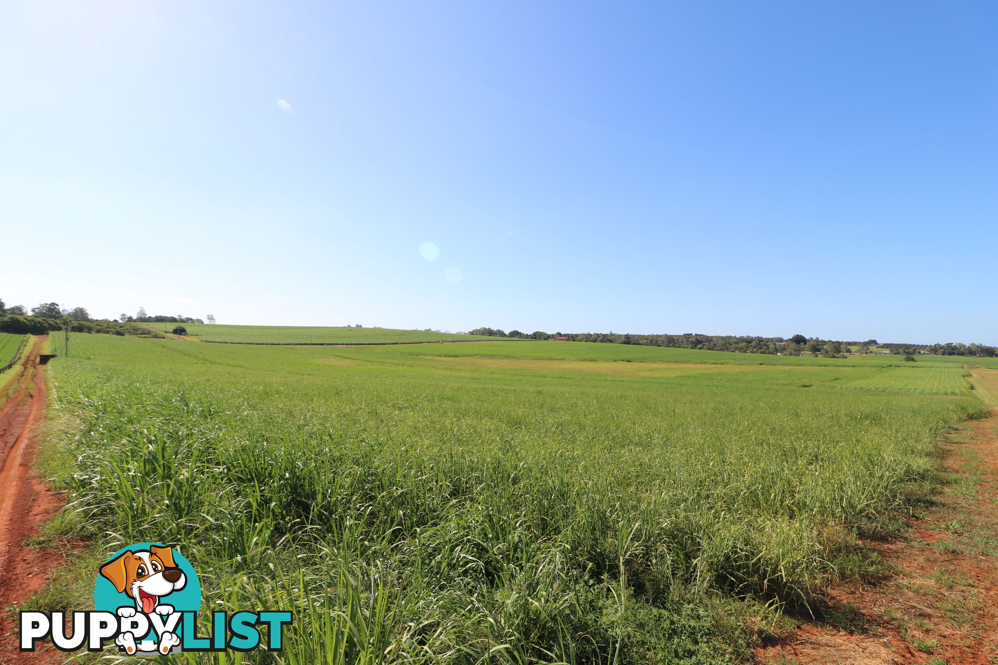 115 Lucketts Rd Doolbi QLD 4660