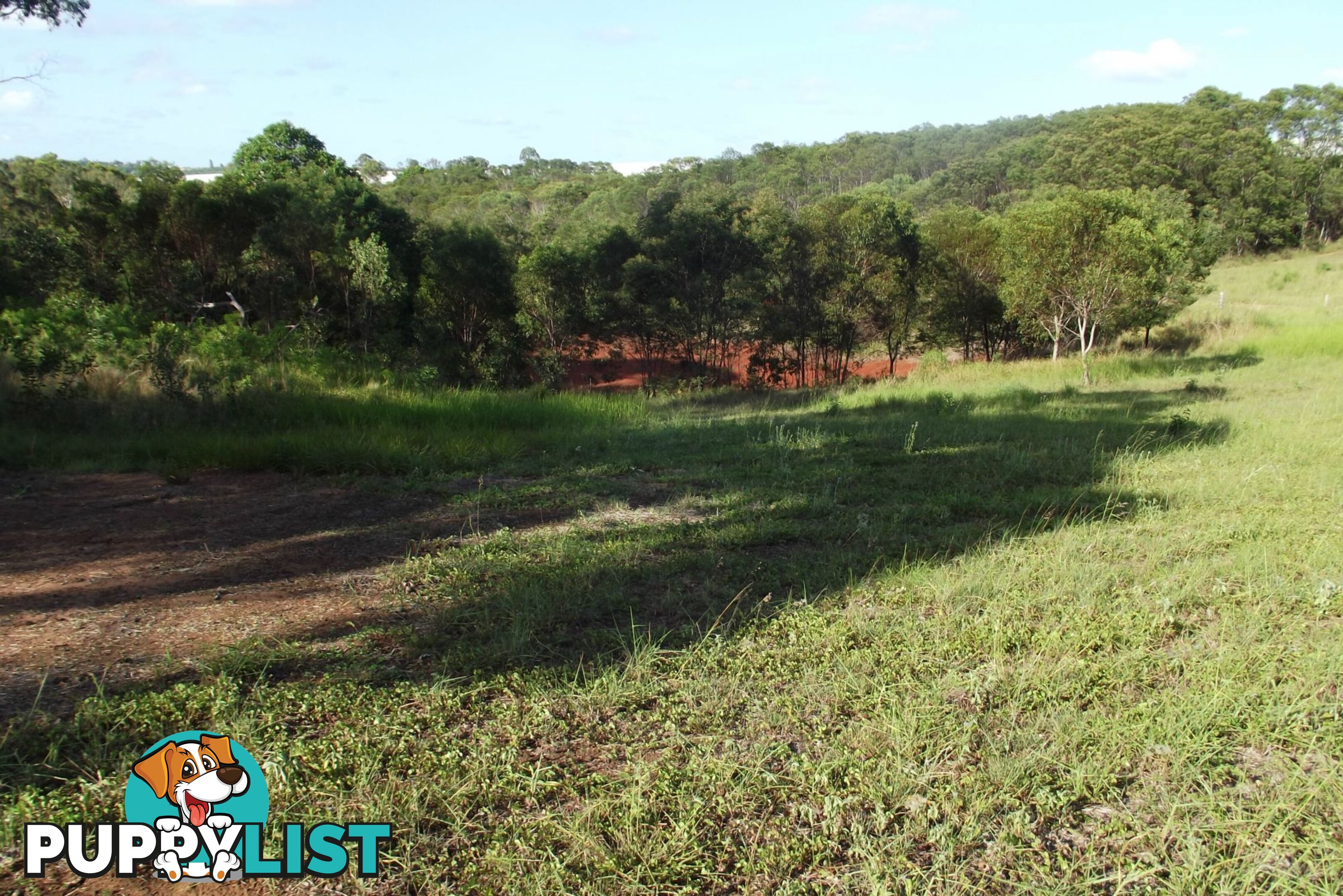 121 Chappell Hills Road South Isis QLD 4660