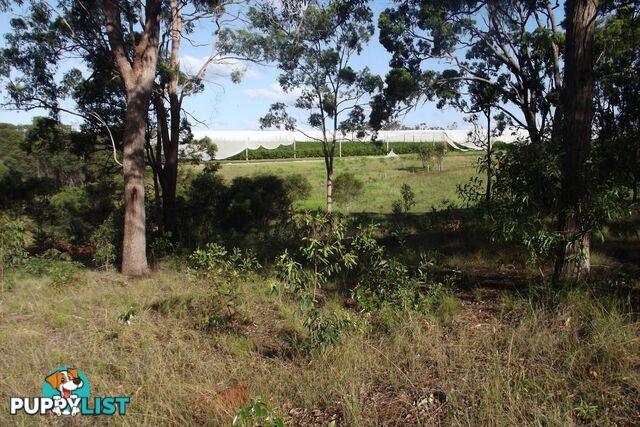 121 Chappell Hills Road South Isis QLD 4660