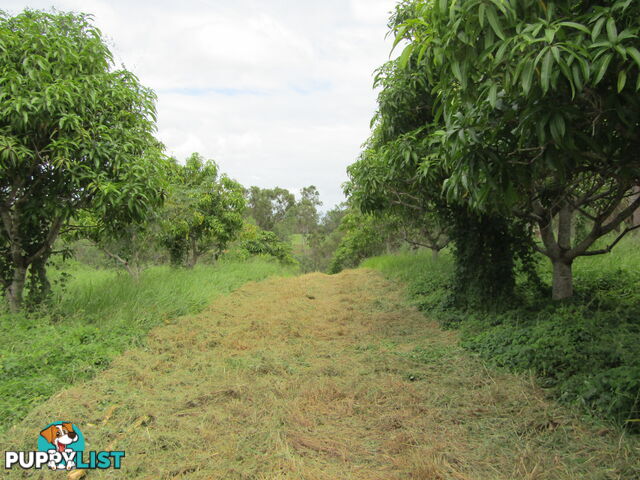 Lot 23 Pratts Rd Delan QLD 4671