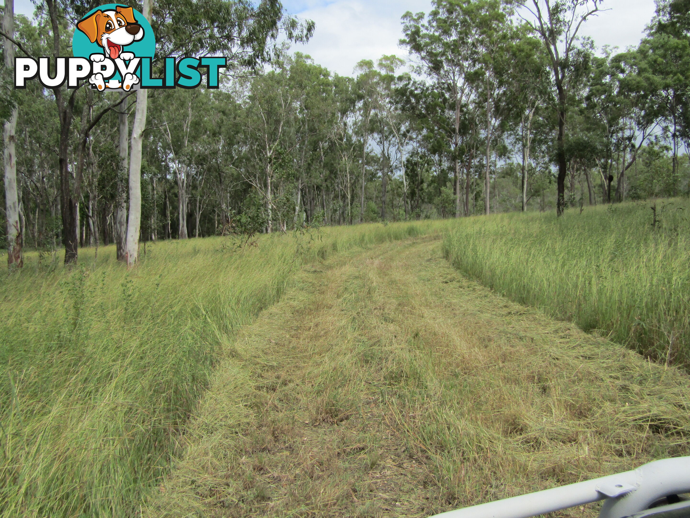 Lot 23 Pratts Rd Delan QLD 4671