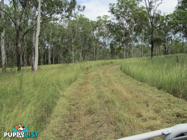 Lot 23 Pratts Rd Delan QLD 4671