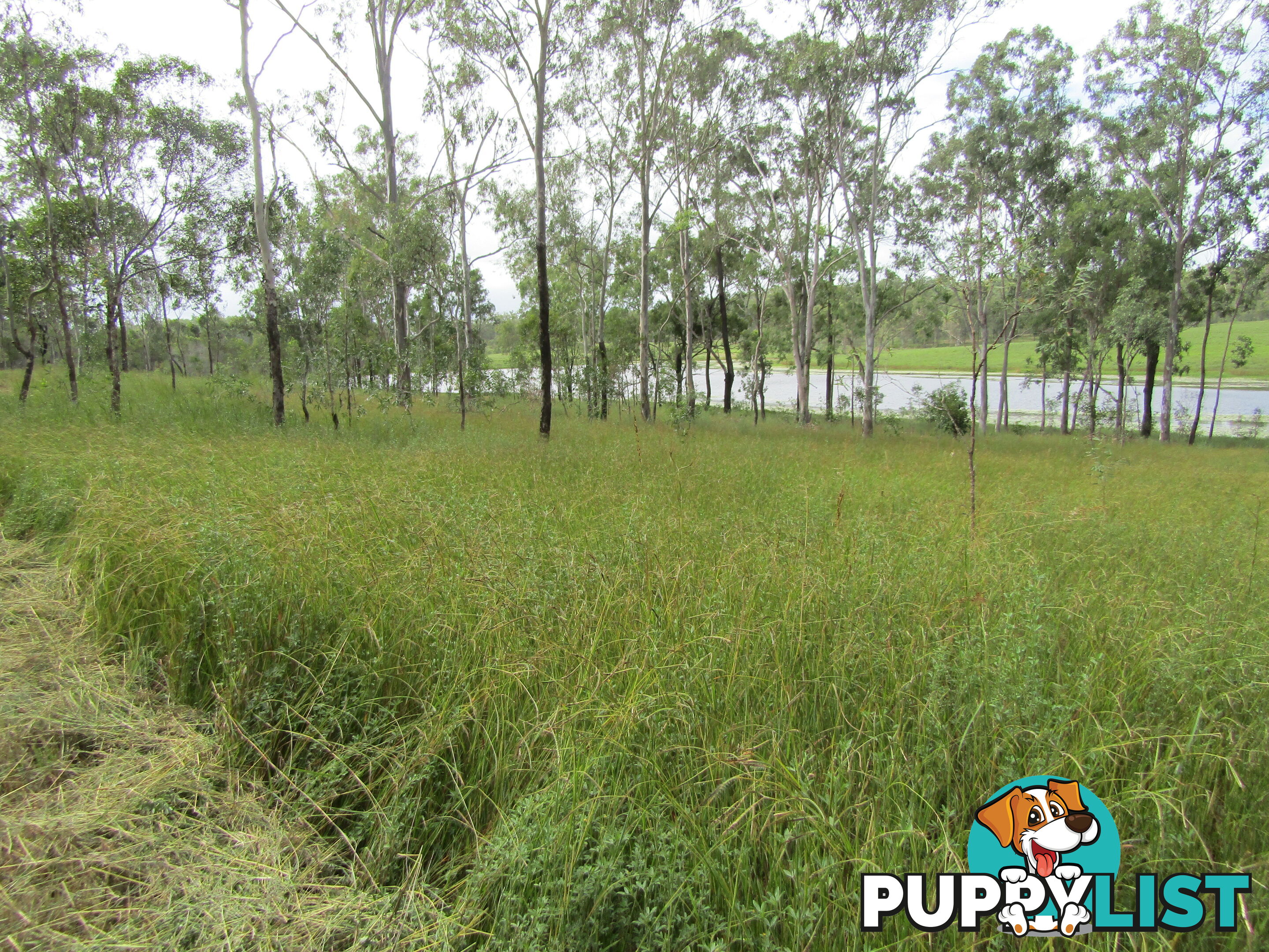 Lot 23 Pratts Rd Delan QLD 4671