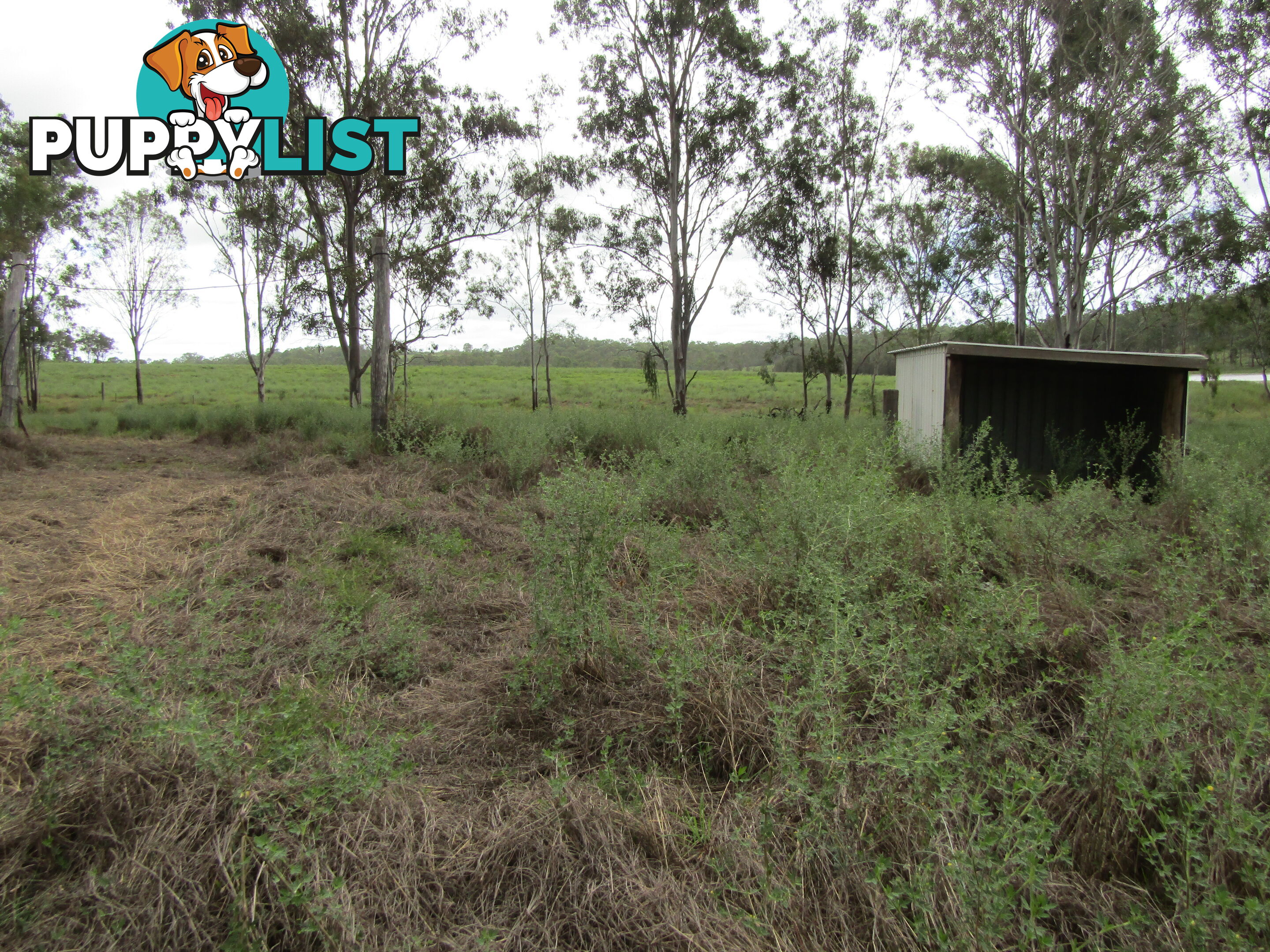 Lot 23 Pratts Rd Delan QLD 4671