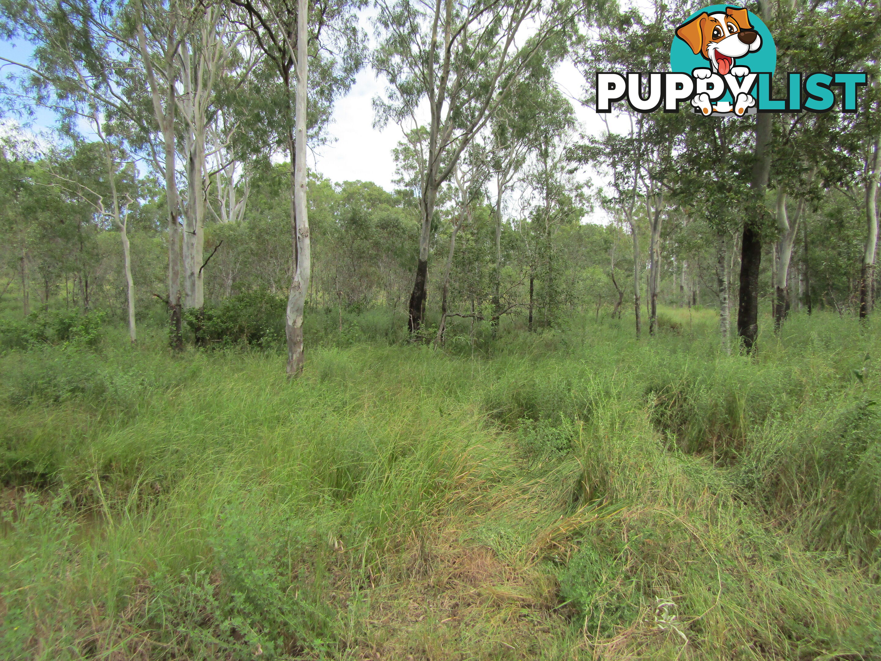 Lot 23 Pratts Rd Delan QLD 4671