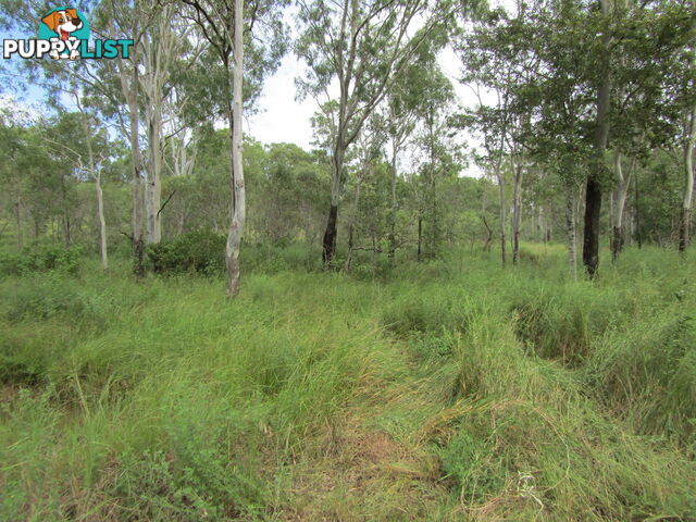 Lot 23 Pratts Rd Delan QLD 4671