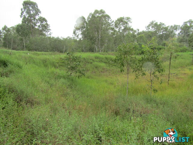 Lot 23 Pratts Rd Delan QLD 4671