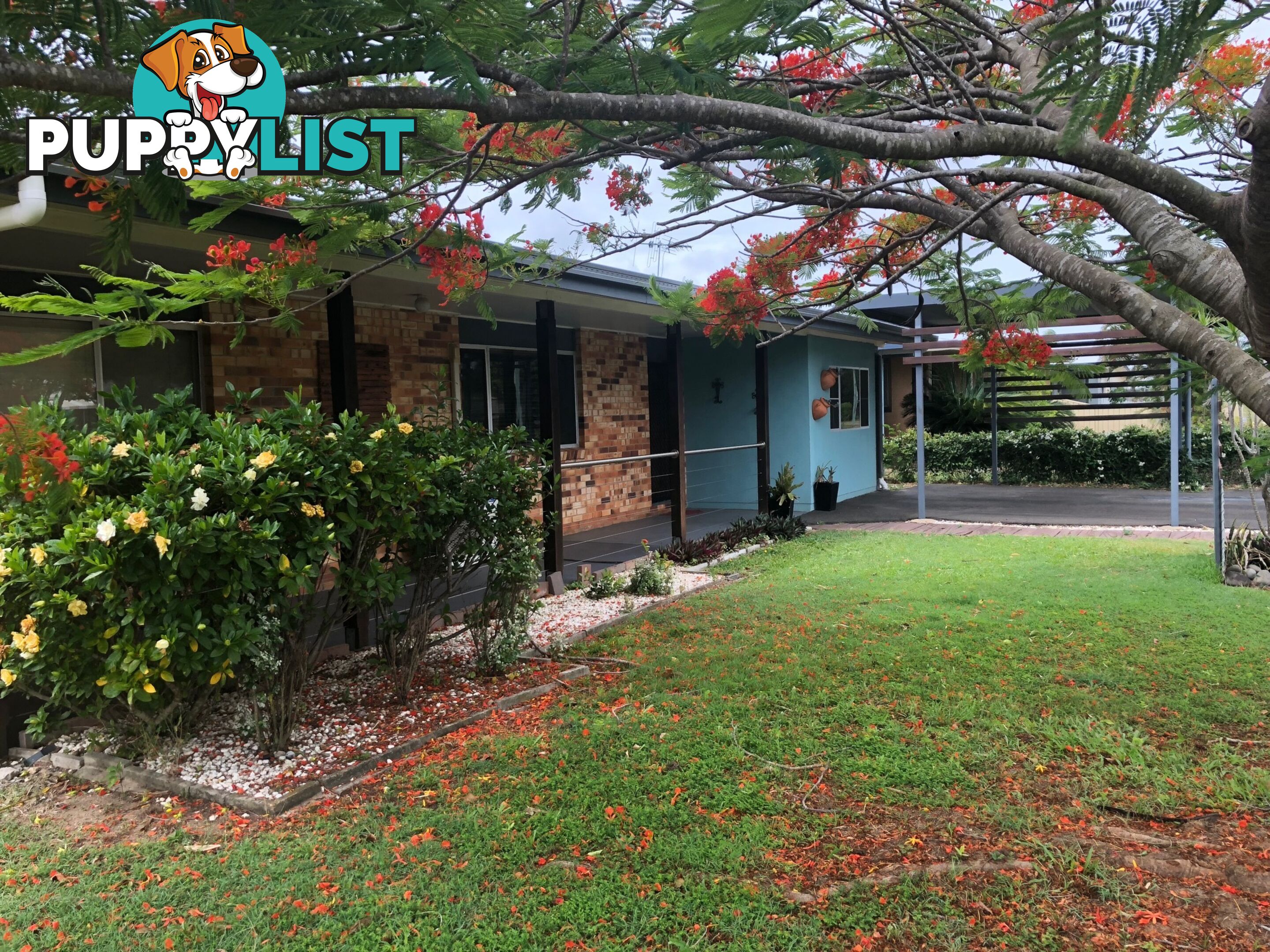 35 Sinclair St Avenell Heights QLD 4670