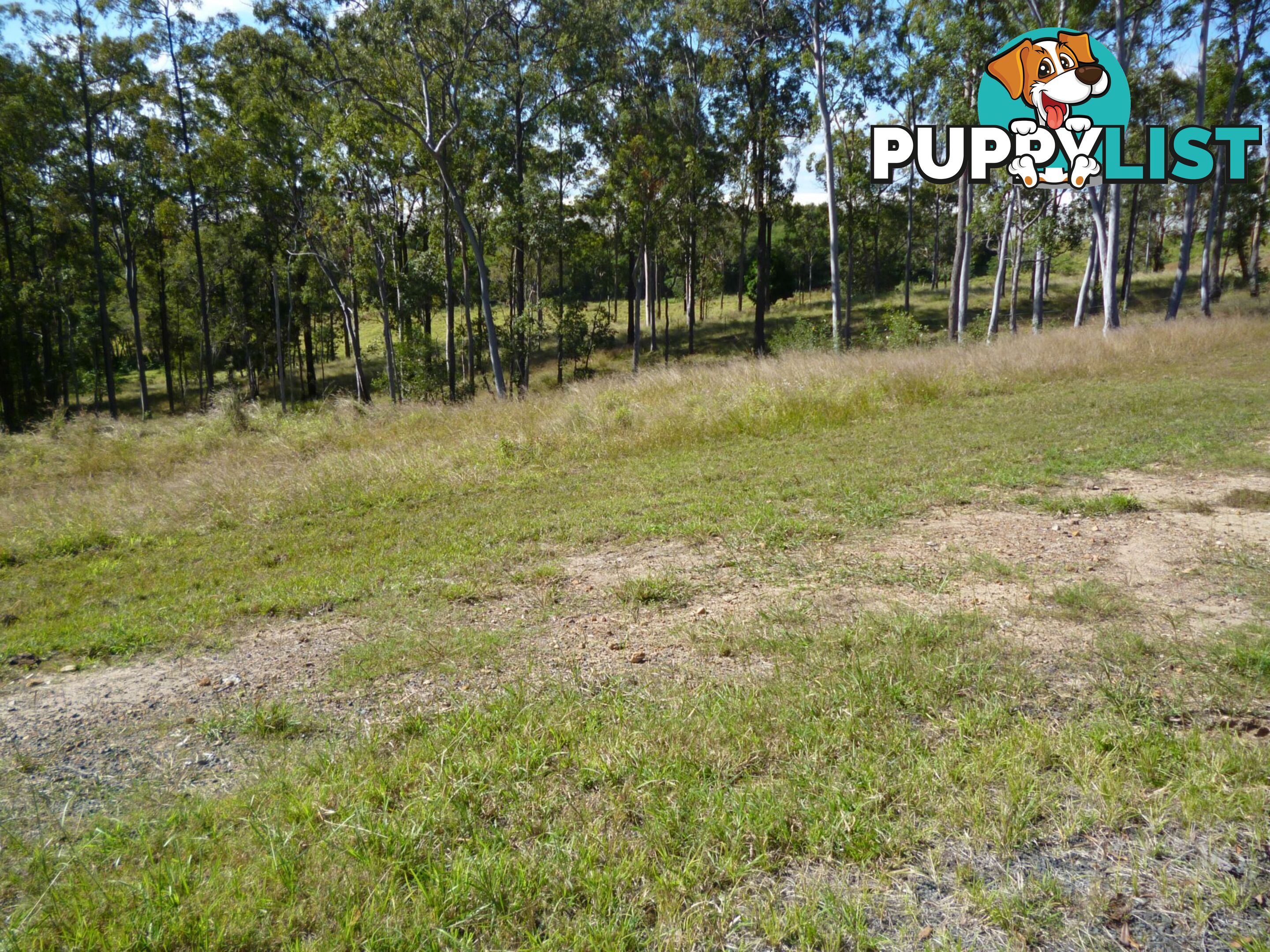 Lot 10 CHAPPELL HILLS Road South Isis QLD 4660