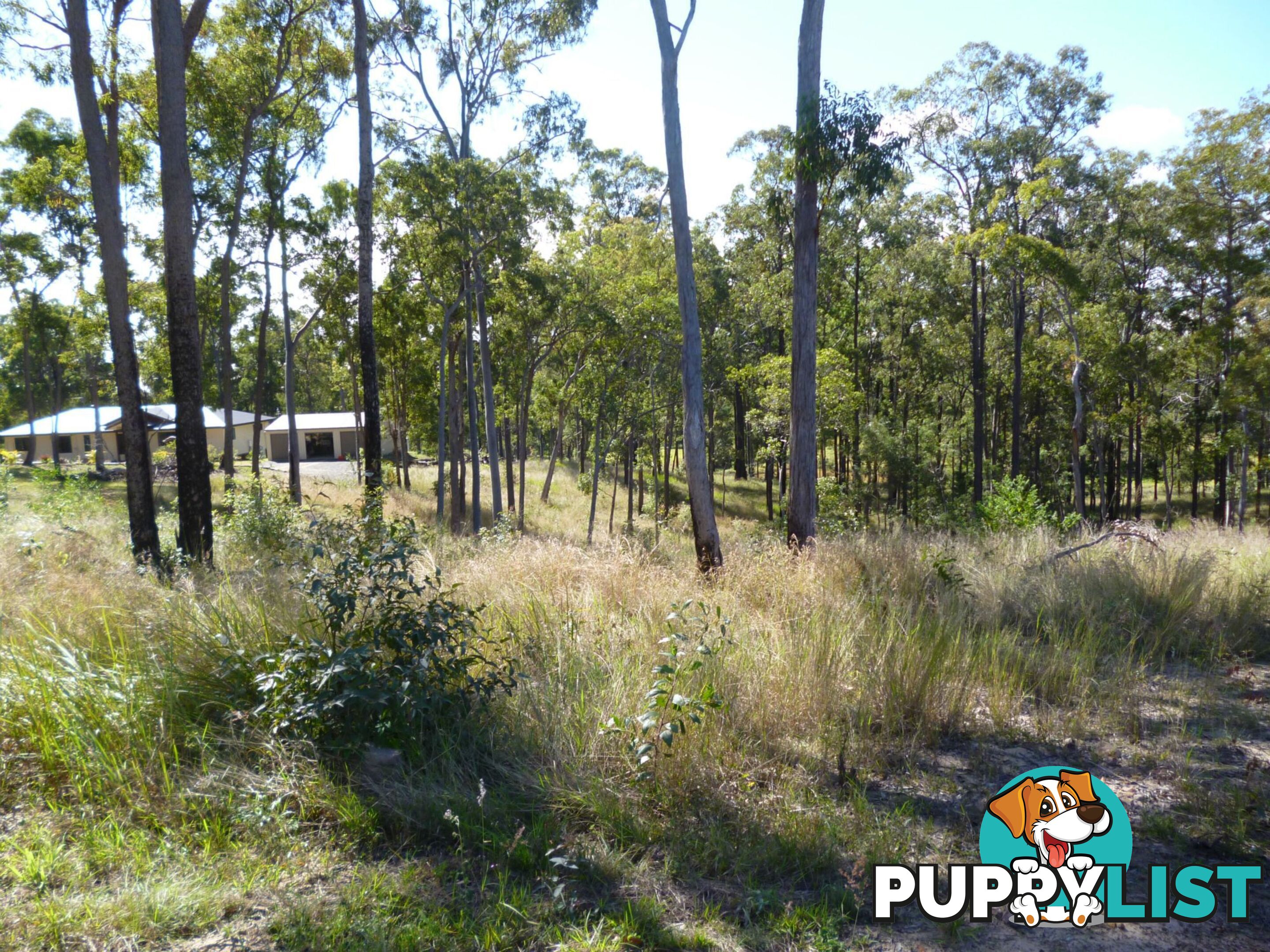 Lot 10 CHAPPELL HILLS Road South Isis QLD 4660