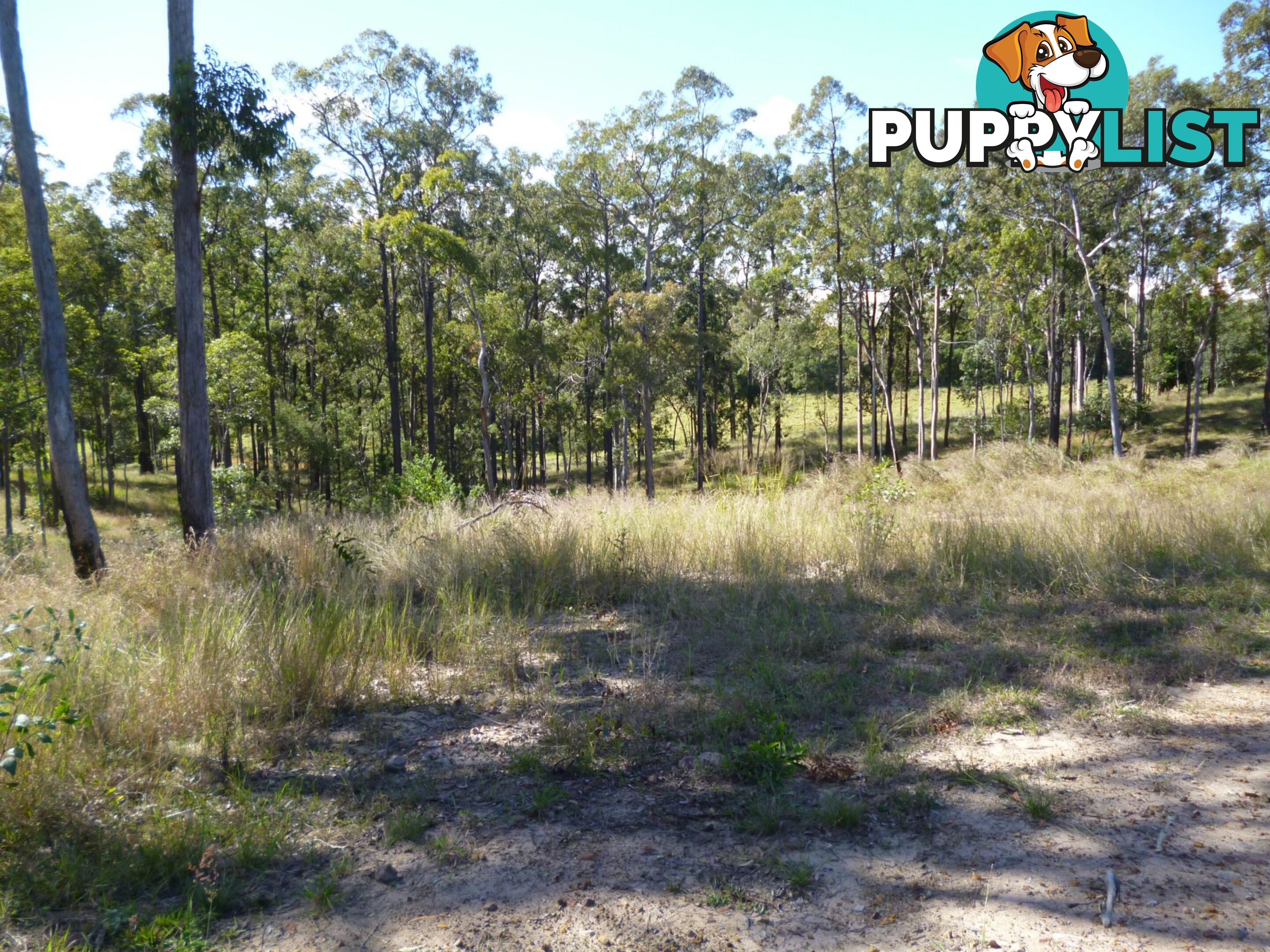 Lot 10 CHAPPELL HILLS Road South Isis QLD 4660