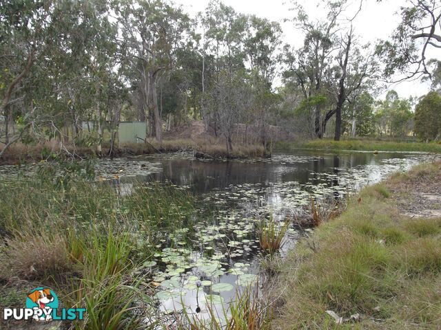 Buxton QLD 4660