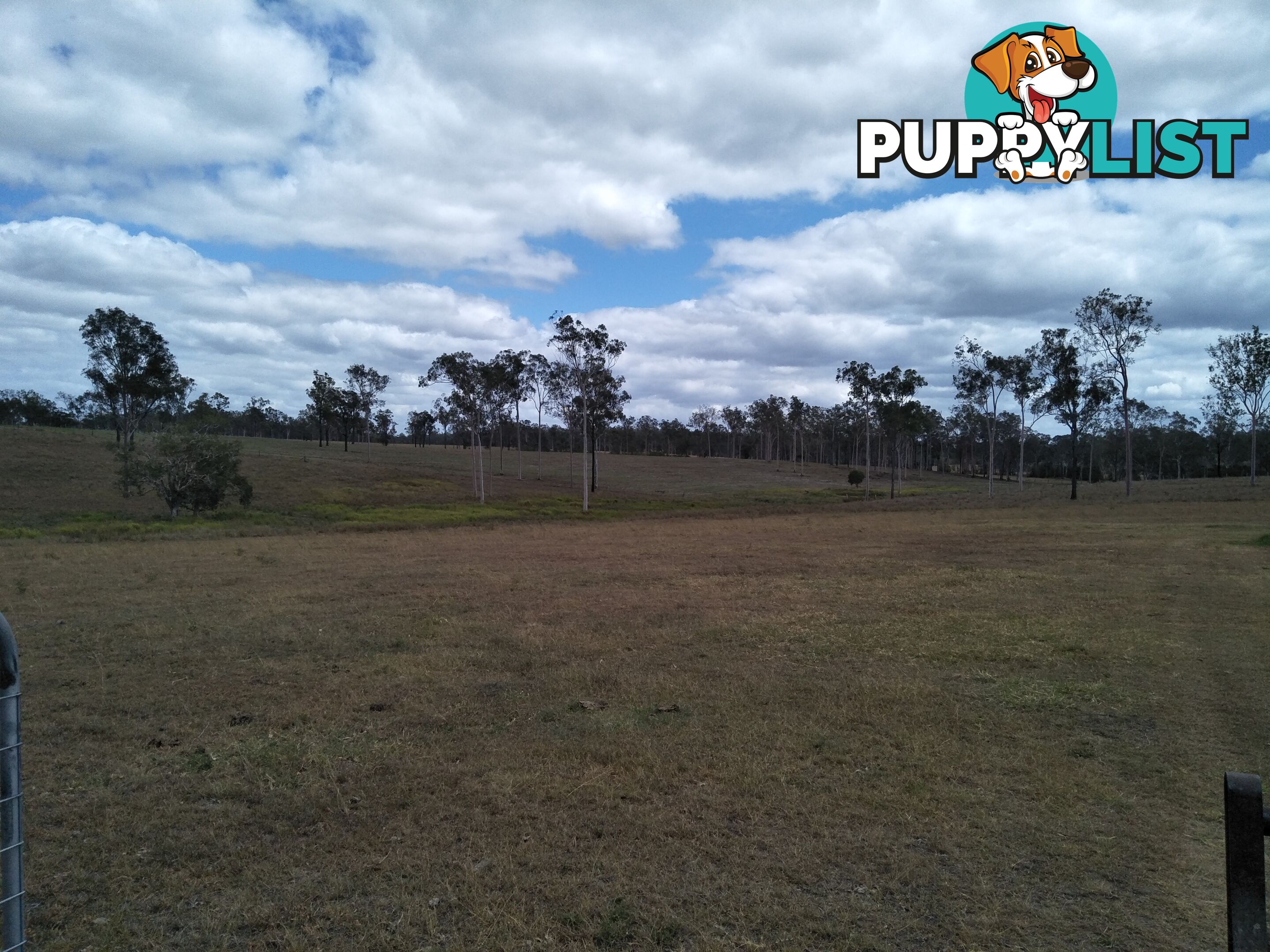 679 Railway Road Booyal QLD 4671