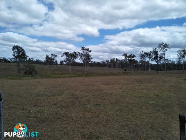 679 Railway Road Booyal QLD 4671