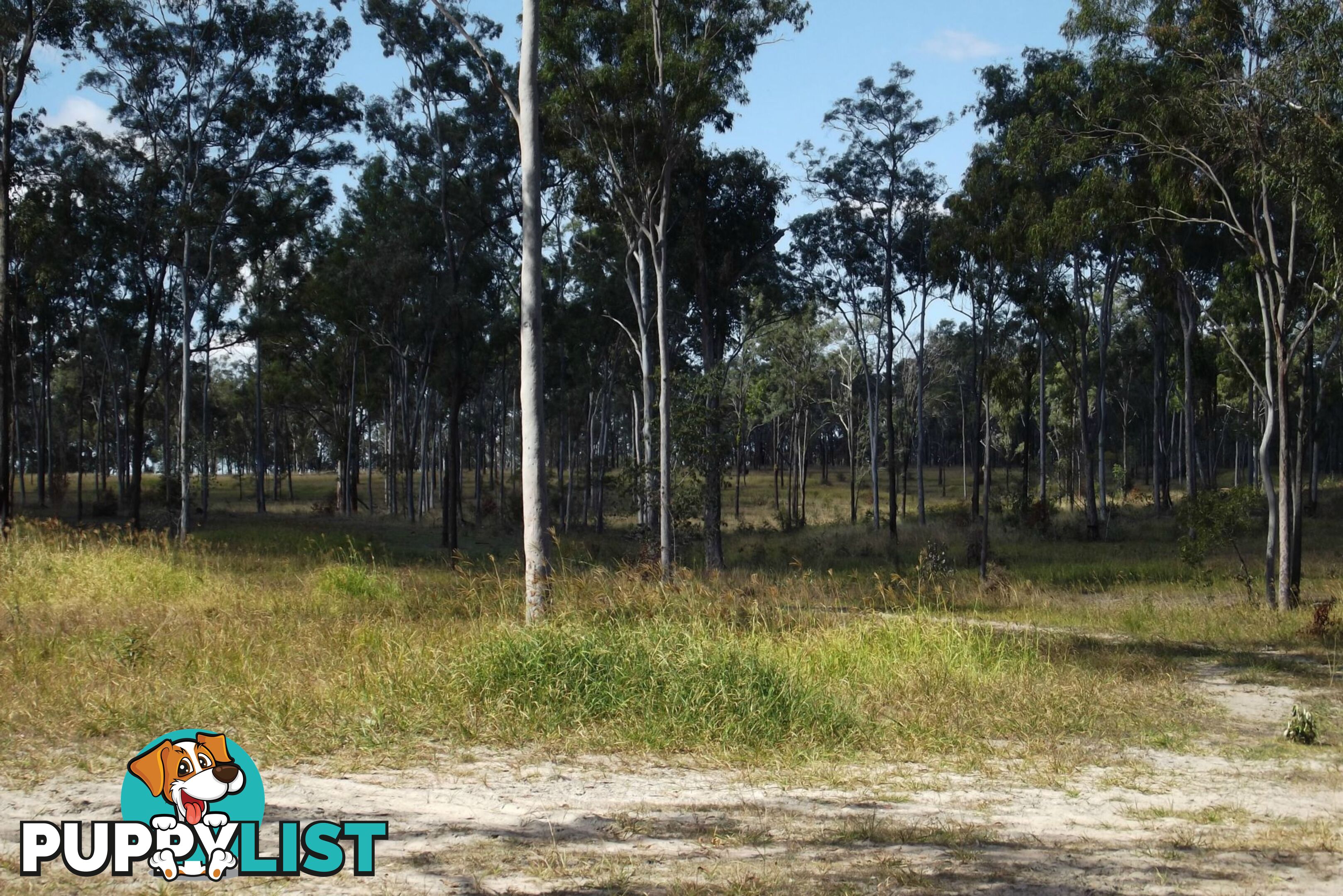 679 Railway Road Booyal QLD 4671