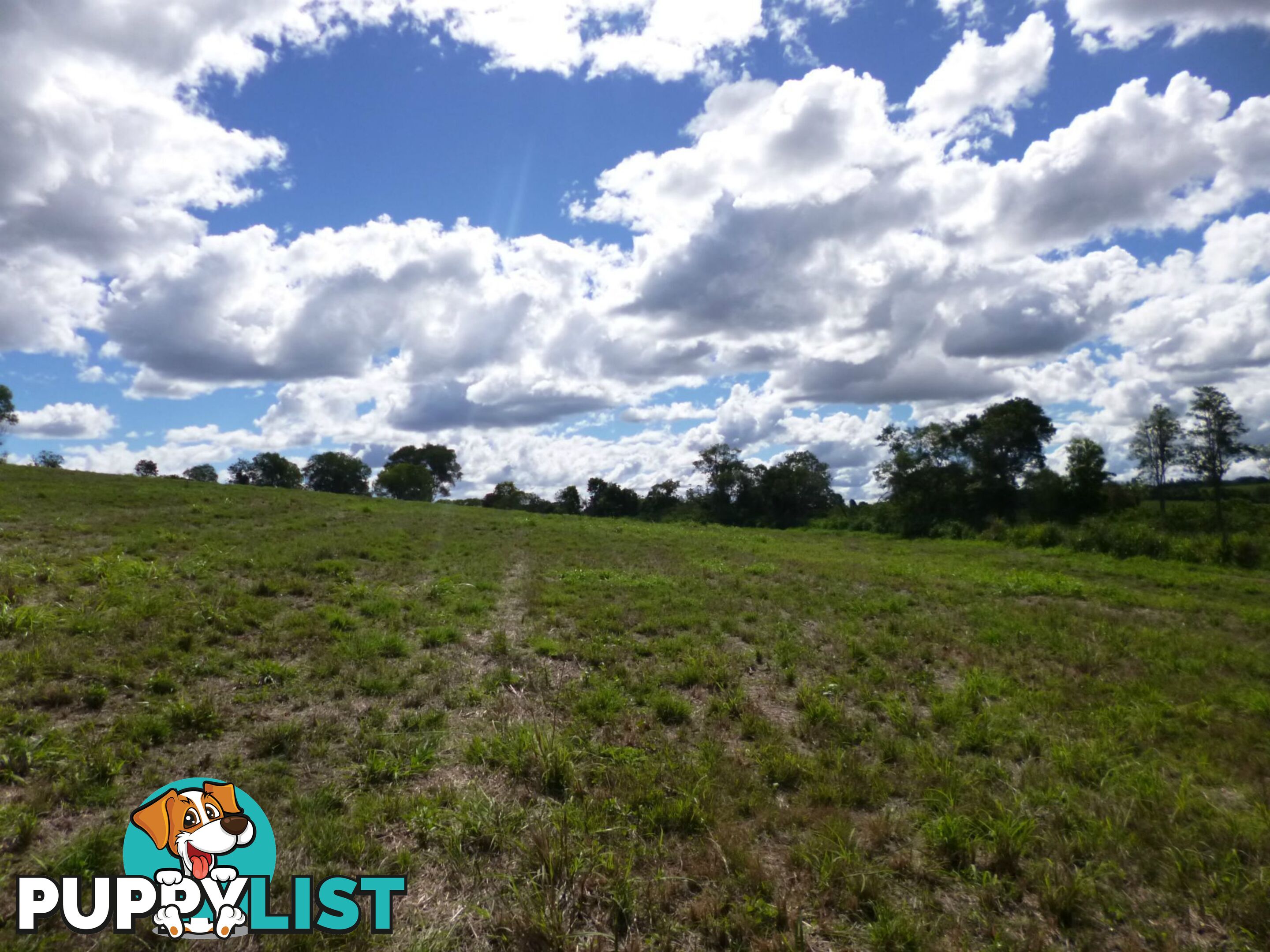 Lot 37 Outlook Drive Childers QLD 4660