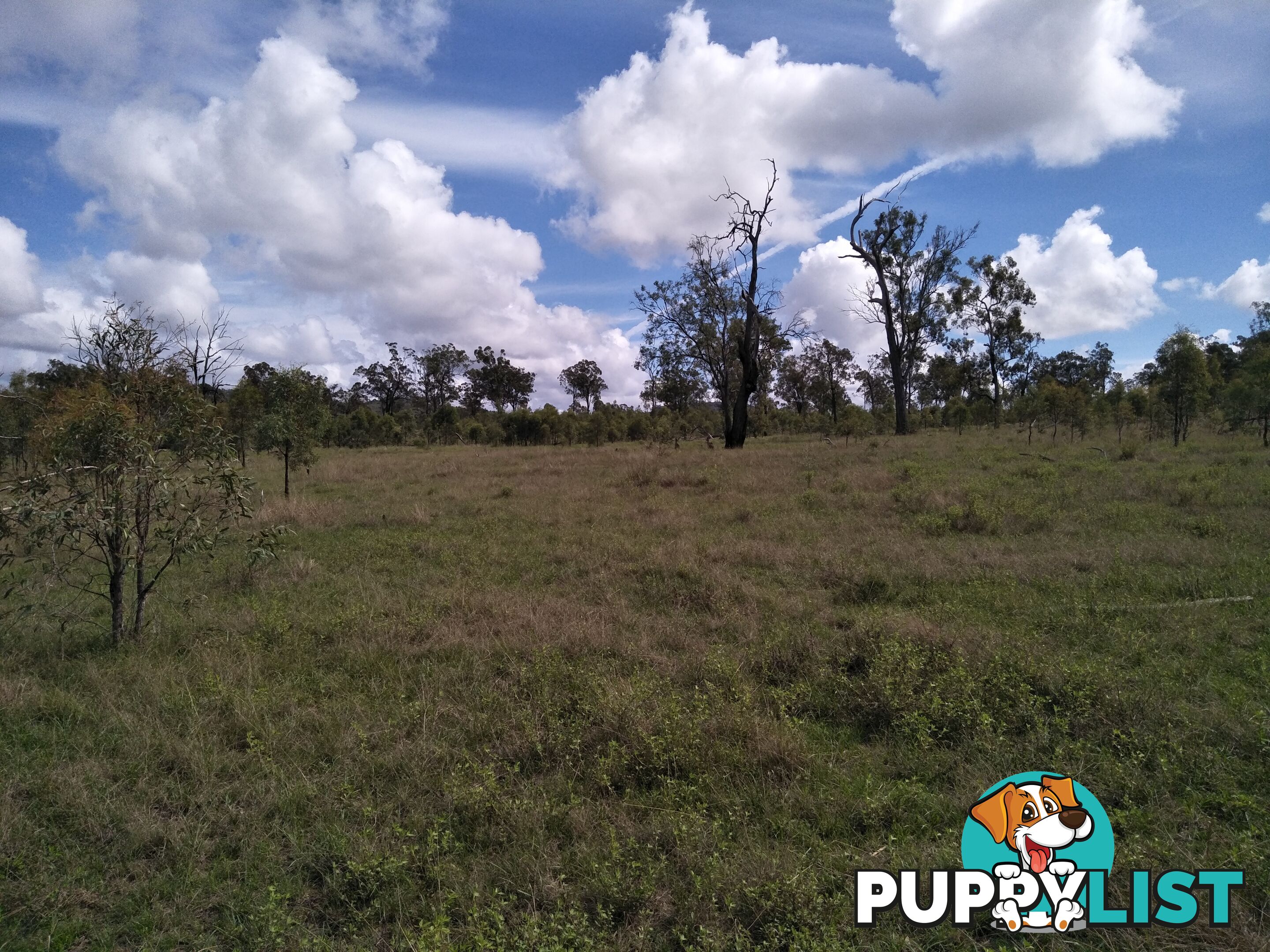 Lot 100 Seccombes Rd Degilbo QLD 4621