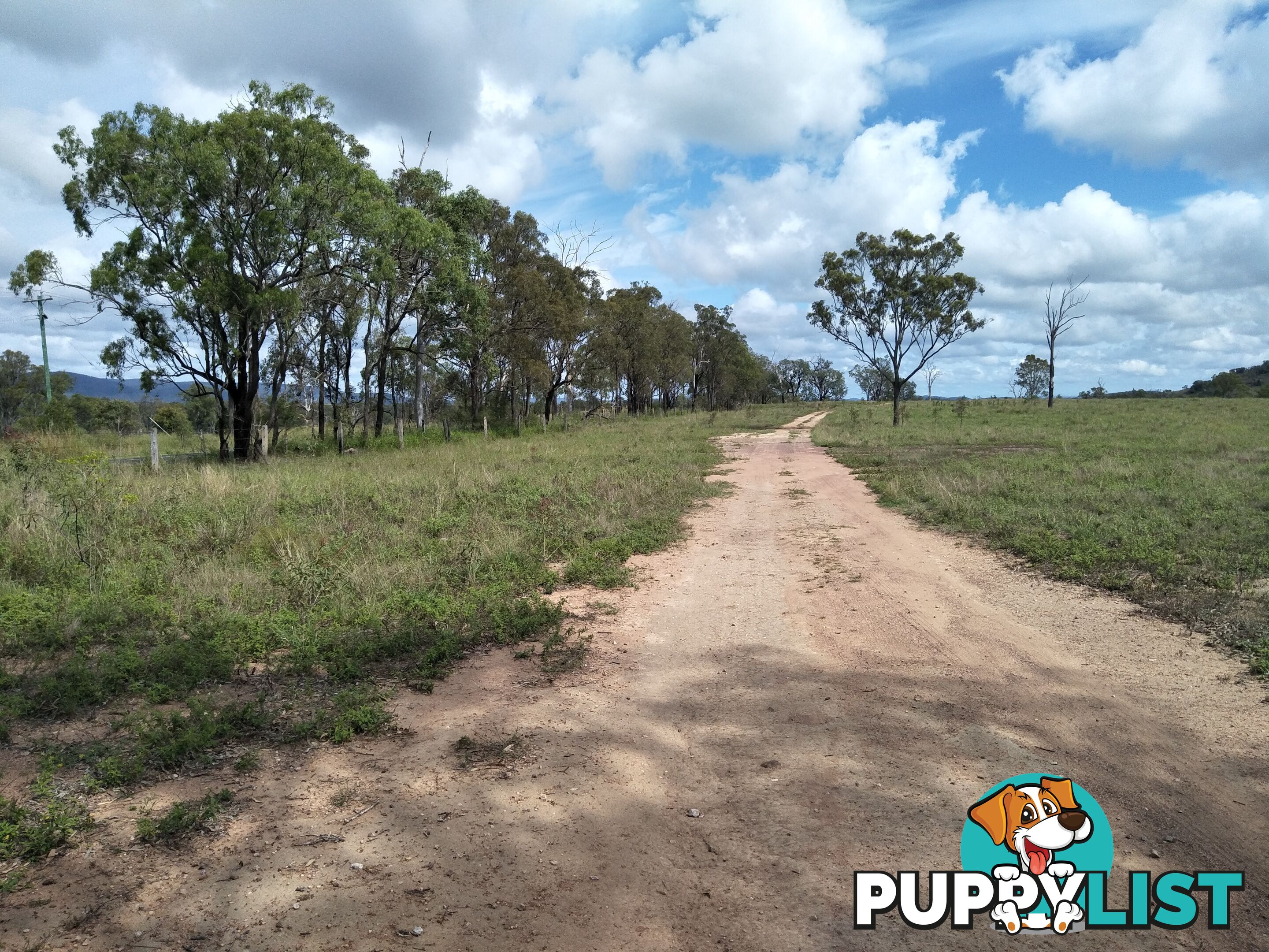 Lot 100 Seccombes Rd Degilbo QLD 4621