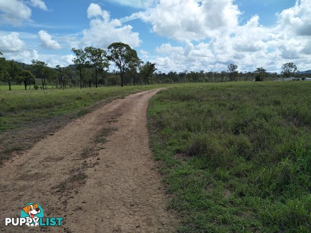 Lot 100 Seccombes Rd Degilbo QLD 4621