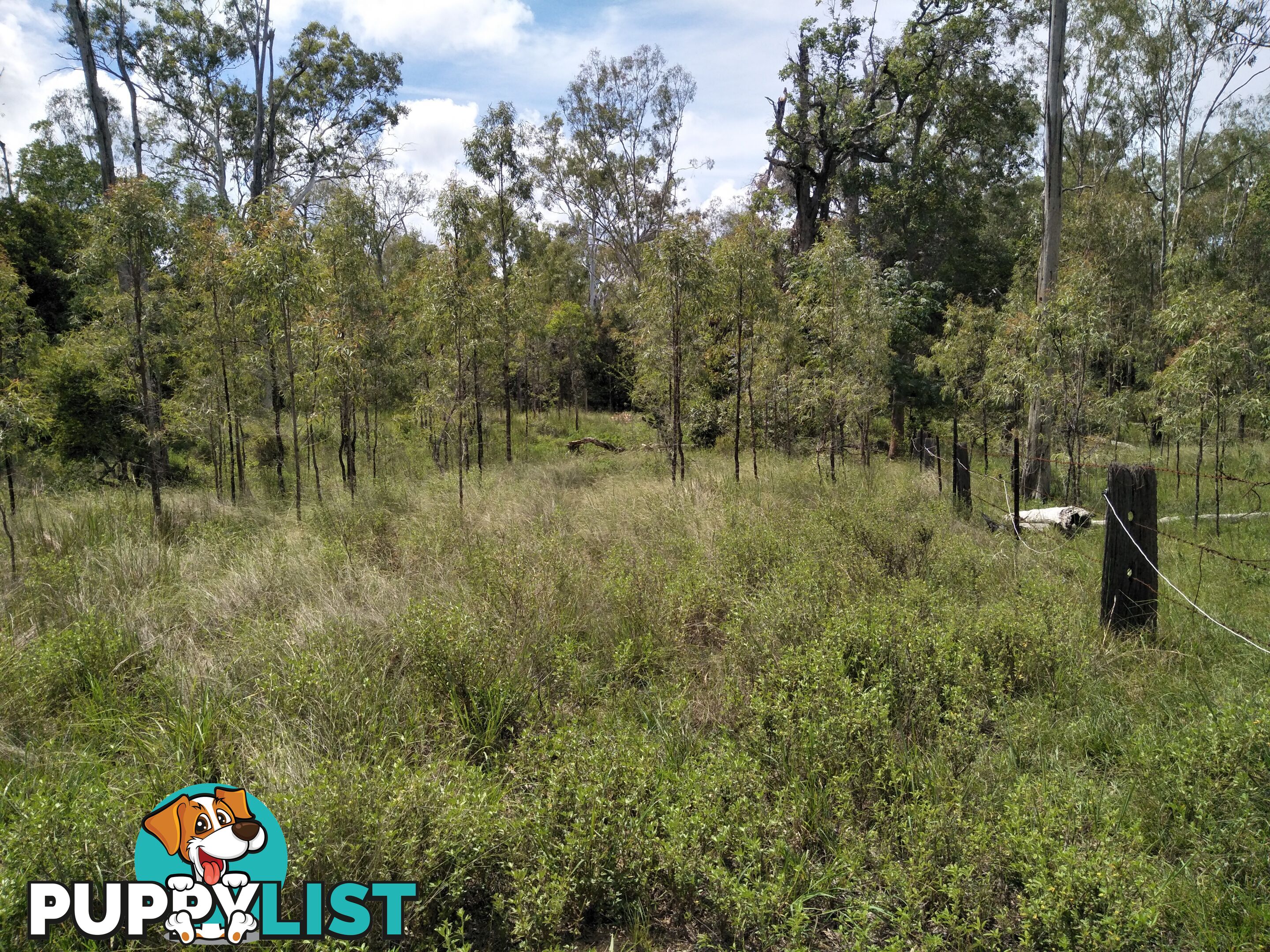 Lot 100 Seccombes Rd Degilbo QLD 4621