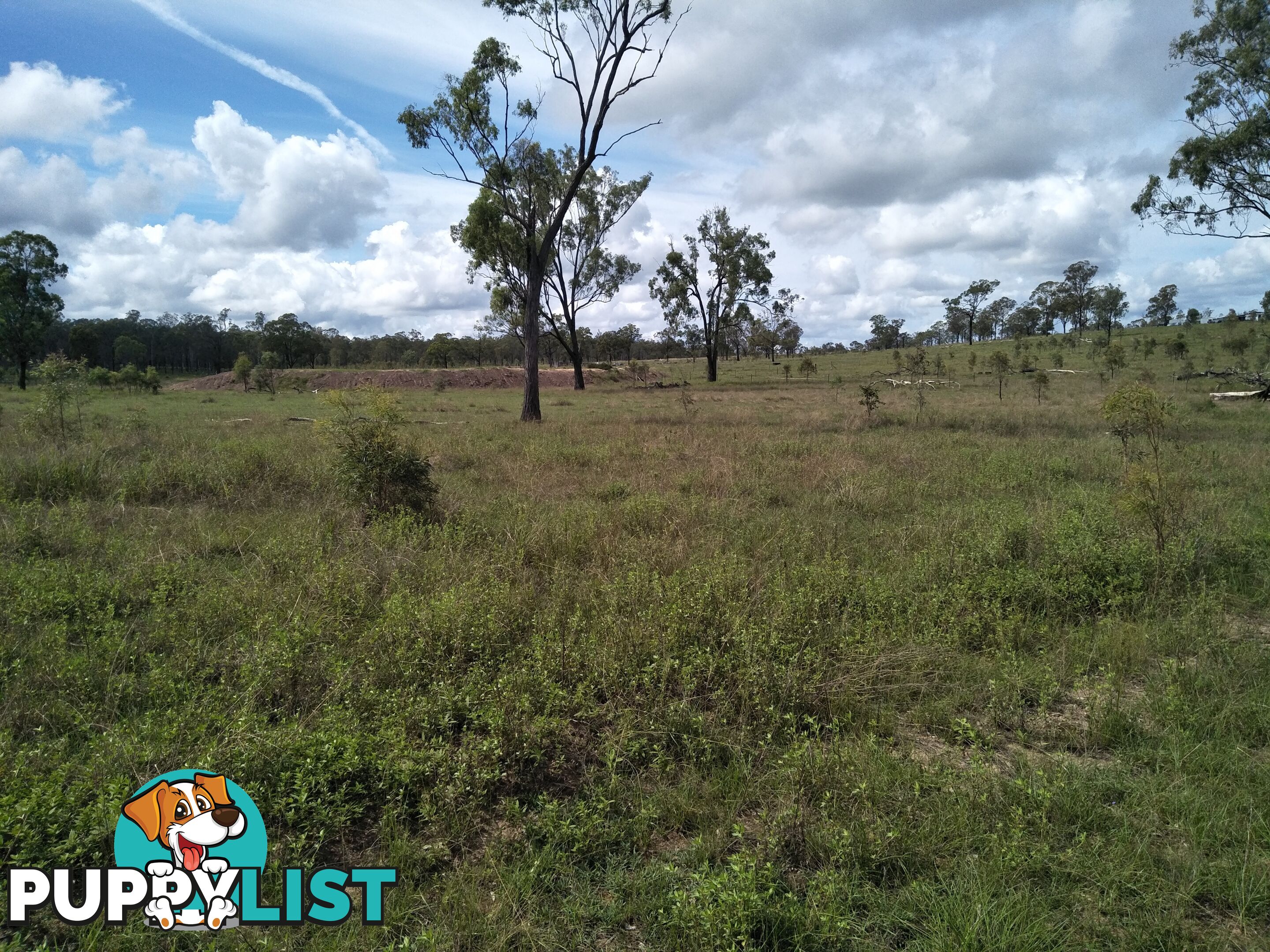 Lot 100 Seccombes Rd Degilbo QLD 4621