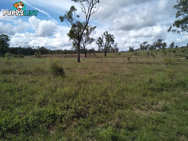 Lot 100 Seccombes Rd Degilbo QLD 4621