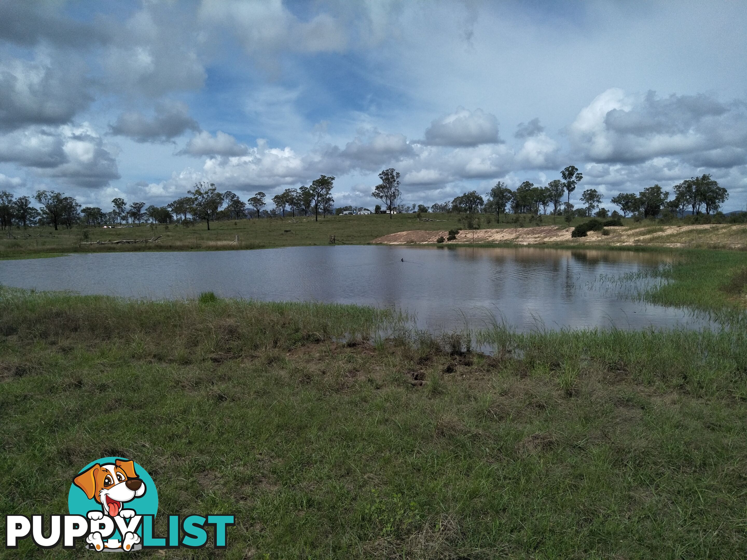 Lot 100 Seccombes Rd Degilbo QLD 4621