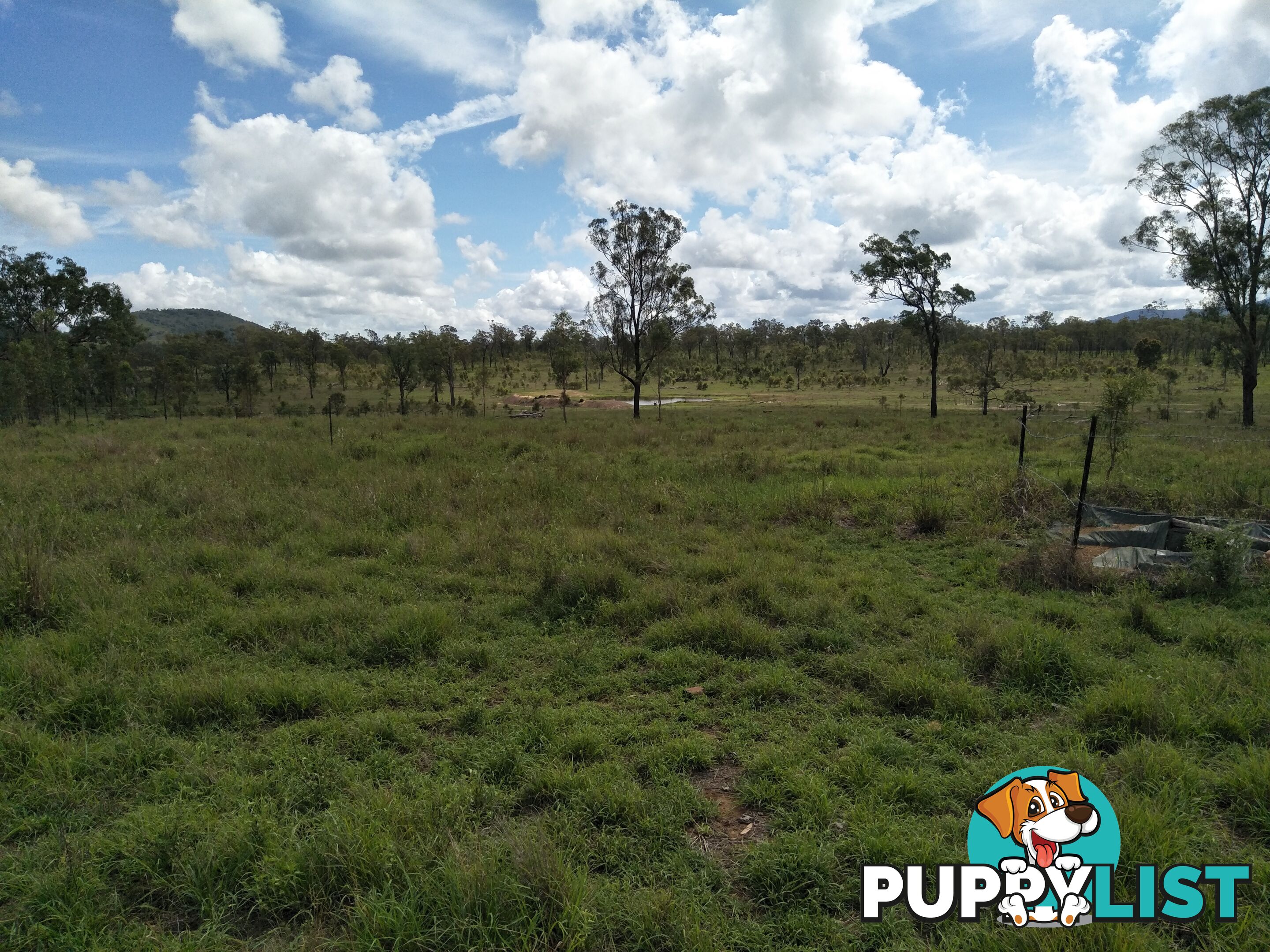 Lot 100 Seccombes Rd Degilbo QLD 4621