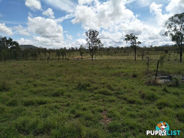 Lot 100 Seccombes Rd Degilbo QLD 4621