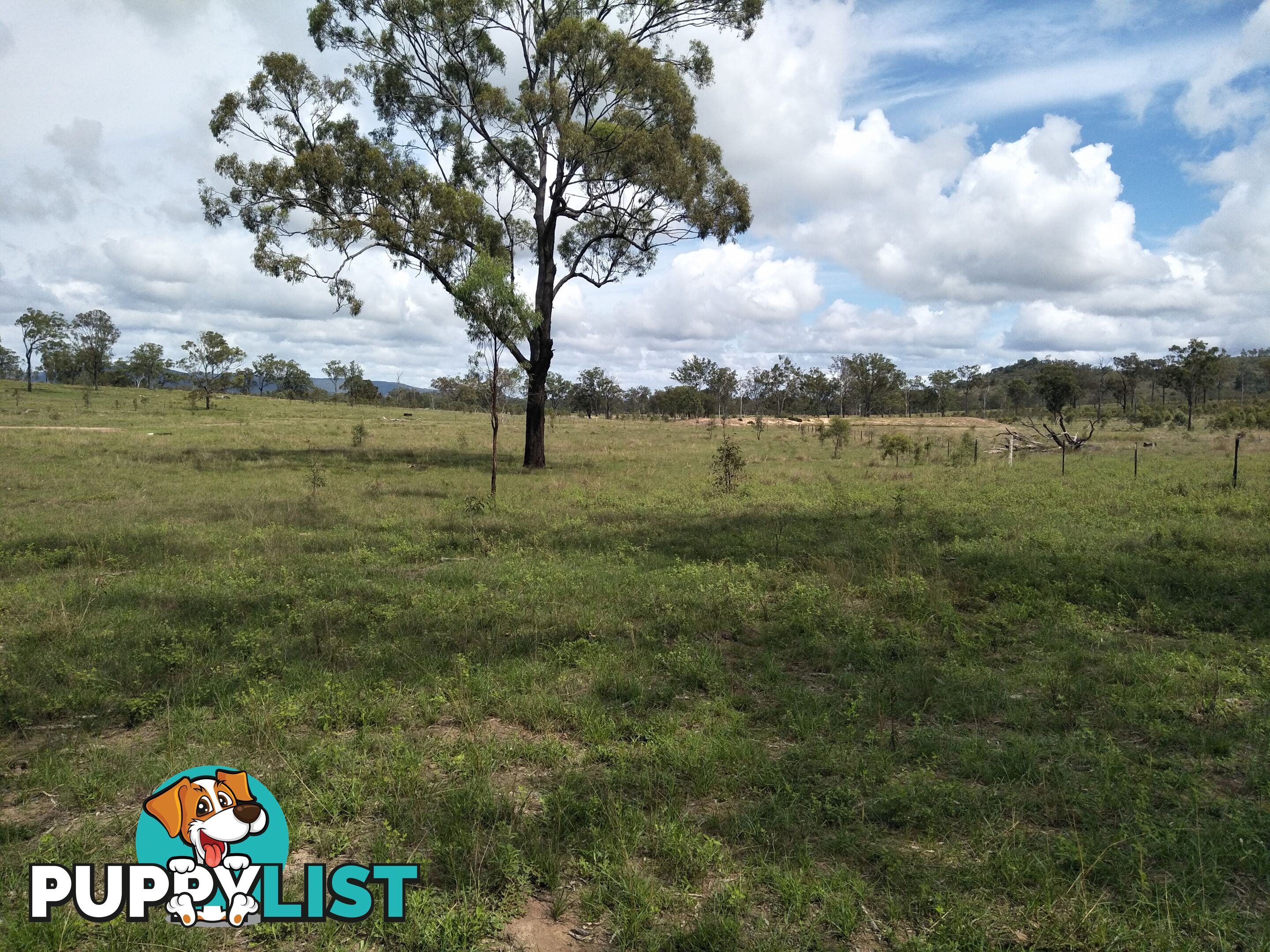 Lot 100 Seccombes Rd Degilbo QLD 4621