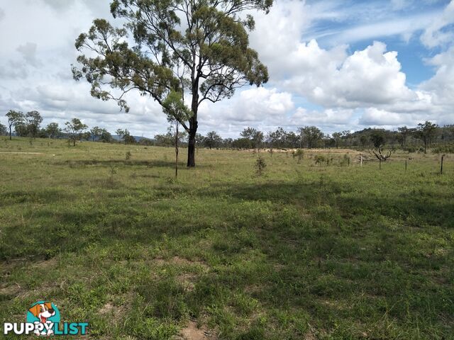 Lot 100 Seccombes Rd Degilbo QLD 4621