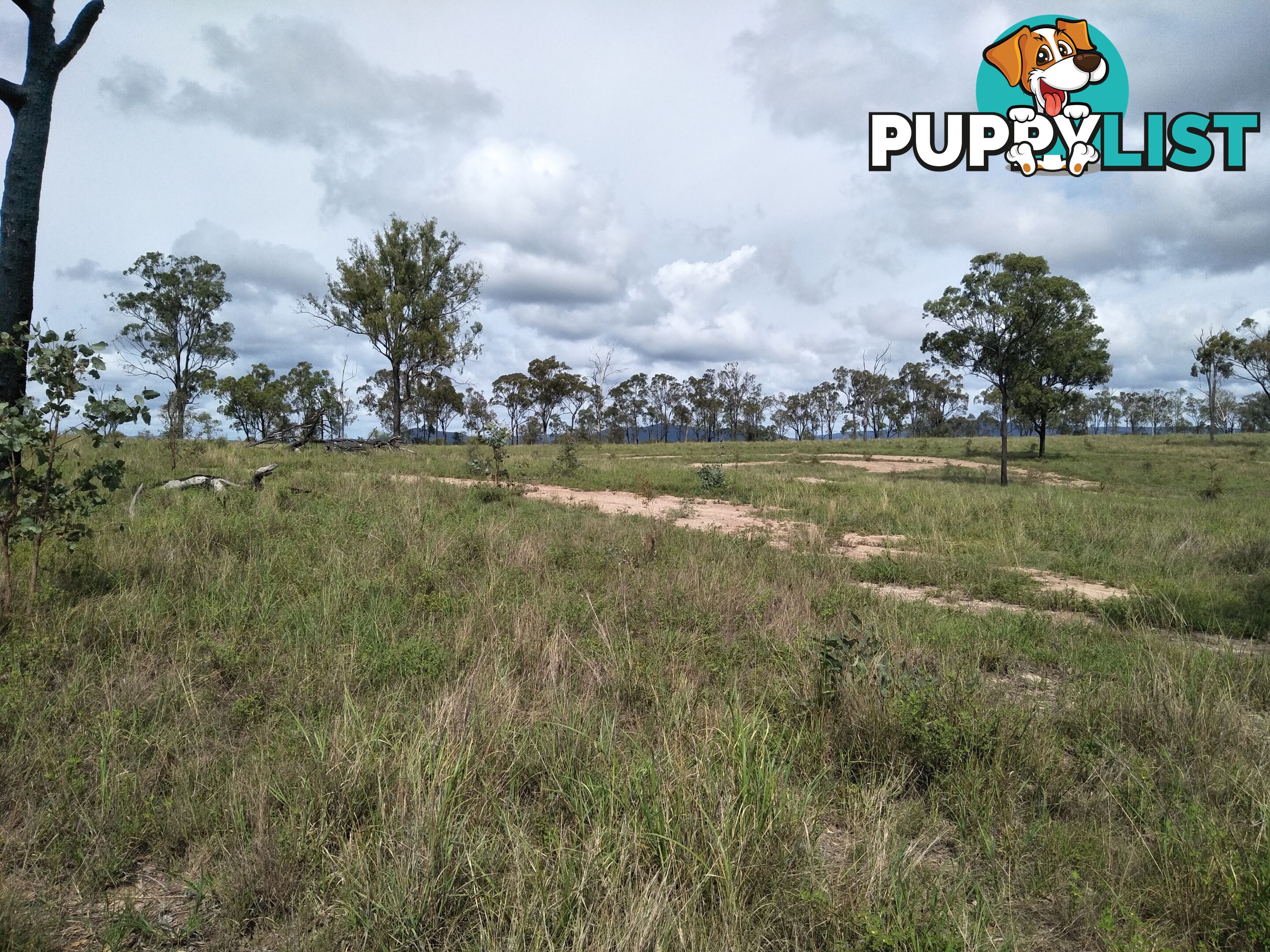 Lot 100 Seccombes Rd Degilbo QLD 4621