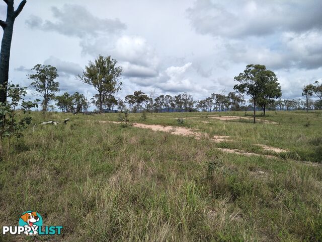 Lot 100 Seccombes Rd Degilbo QLD 4621