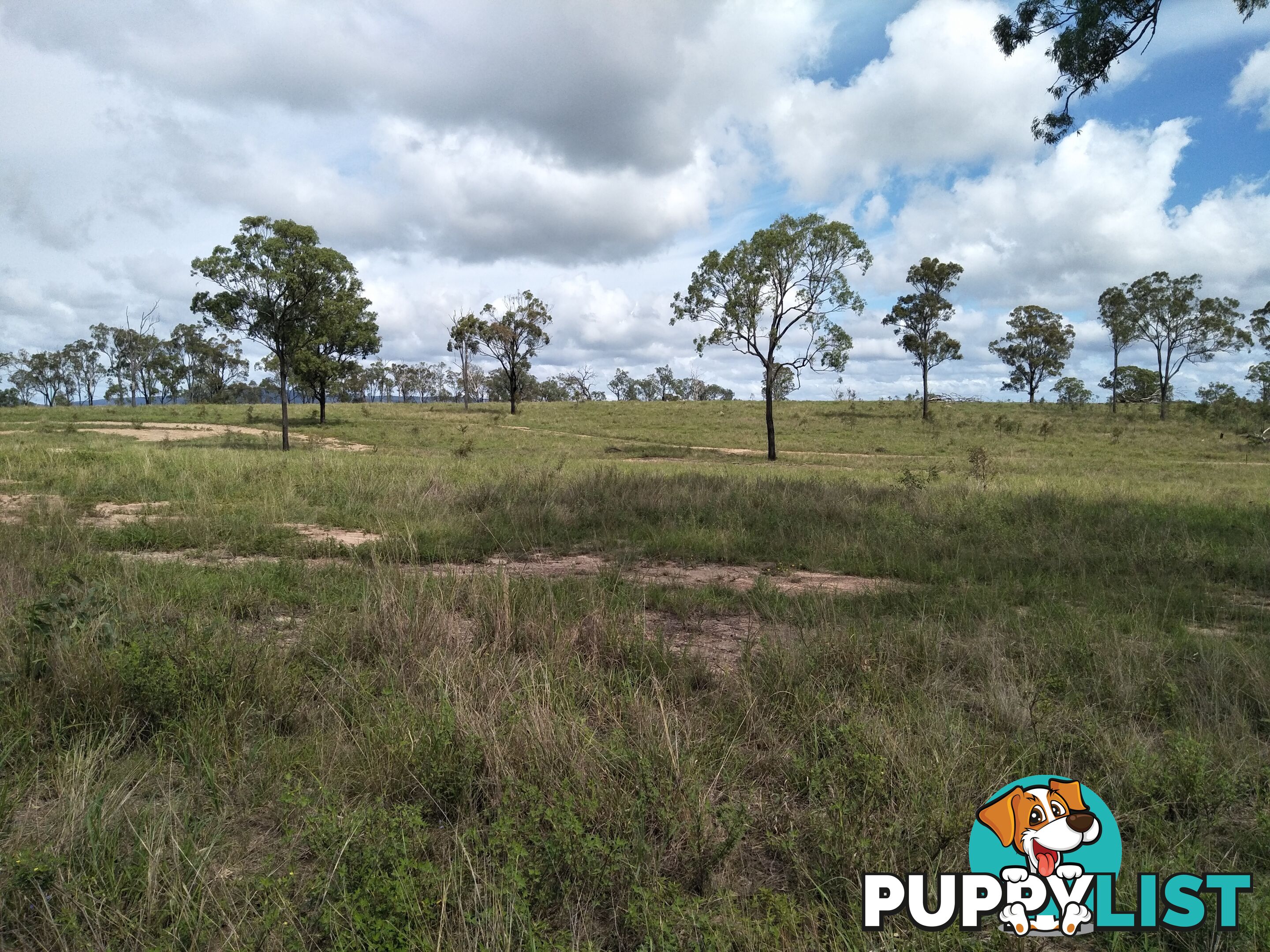 Lot 100 Seccombes Rd Degilbo QLD 4621